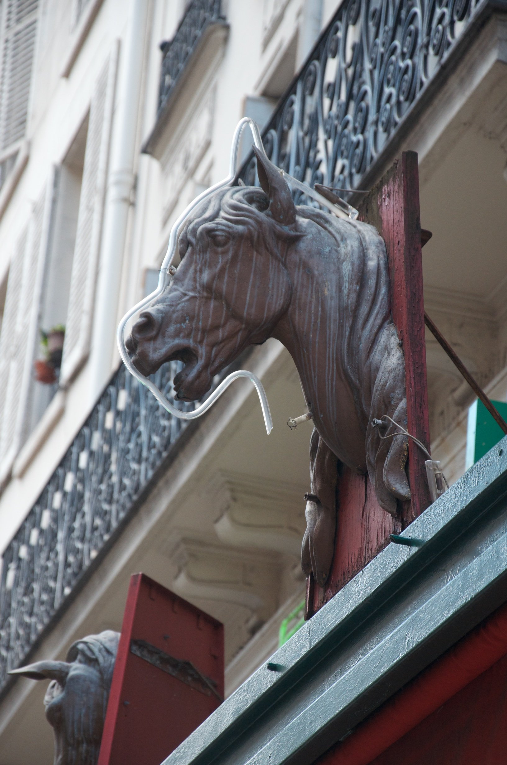 50 DSC_3503.jpg