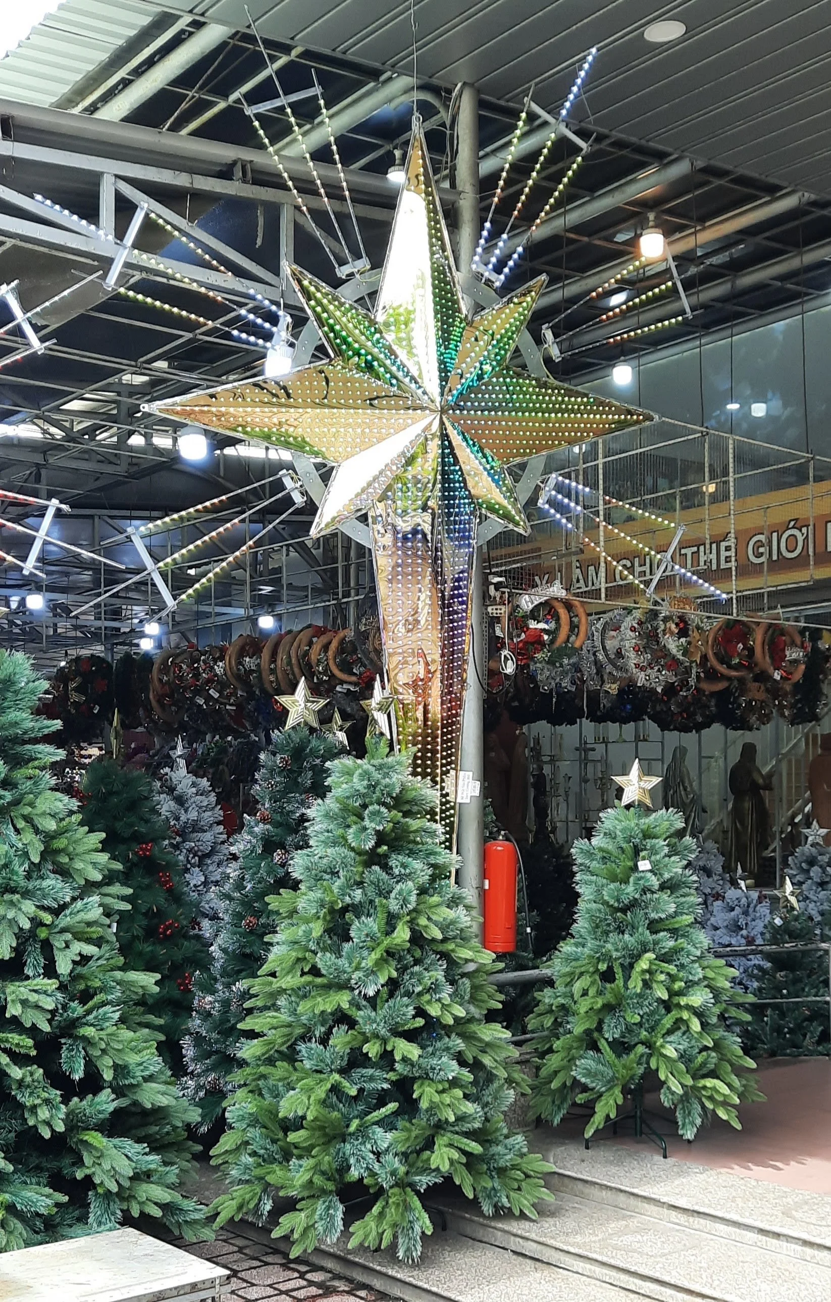 55 20251112_101620.jpg