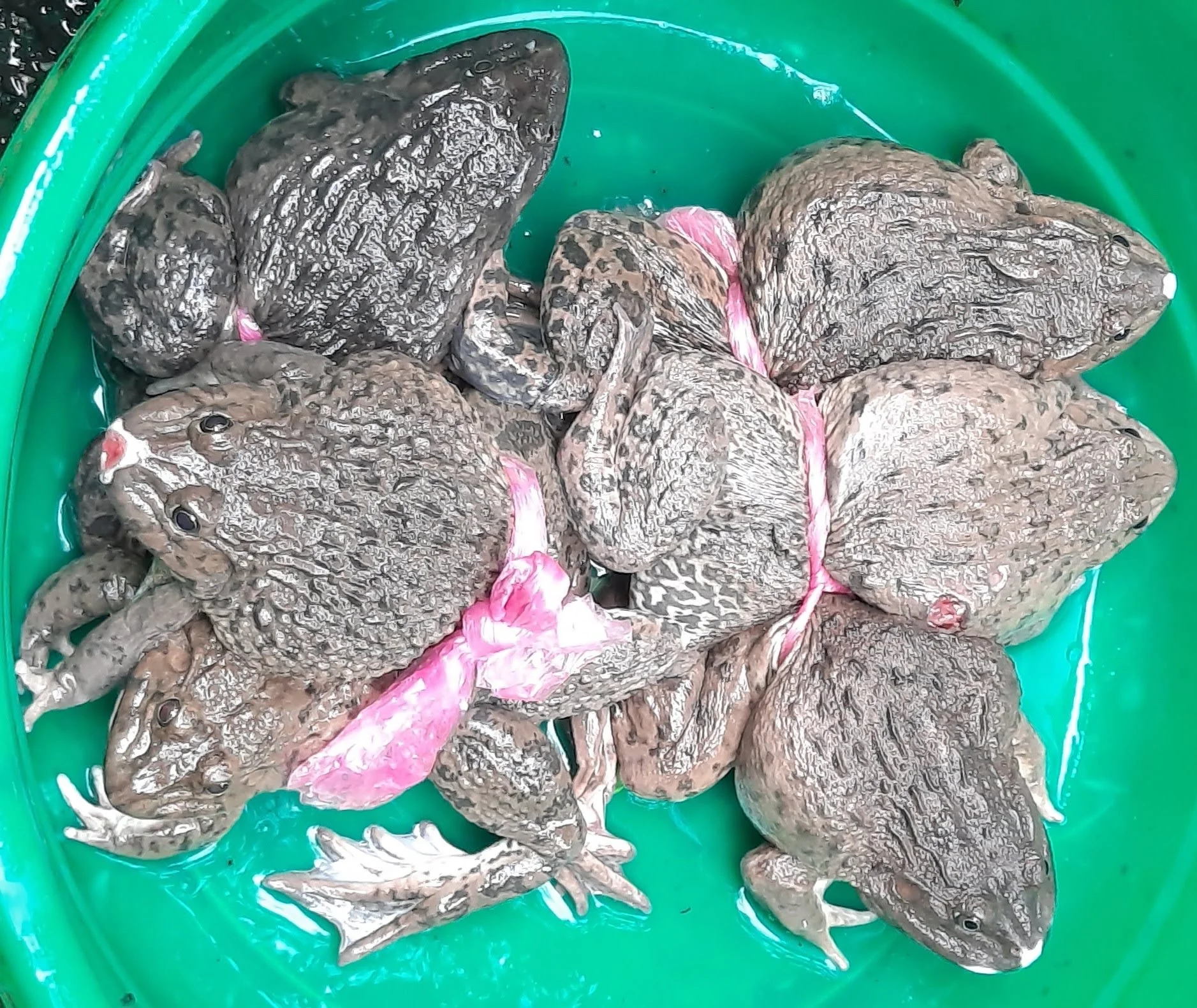 54 20251031_101936(1).jpg