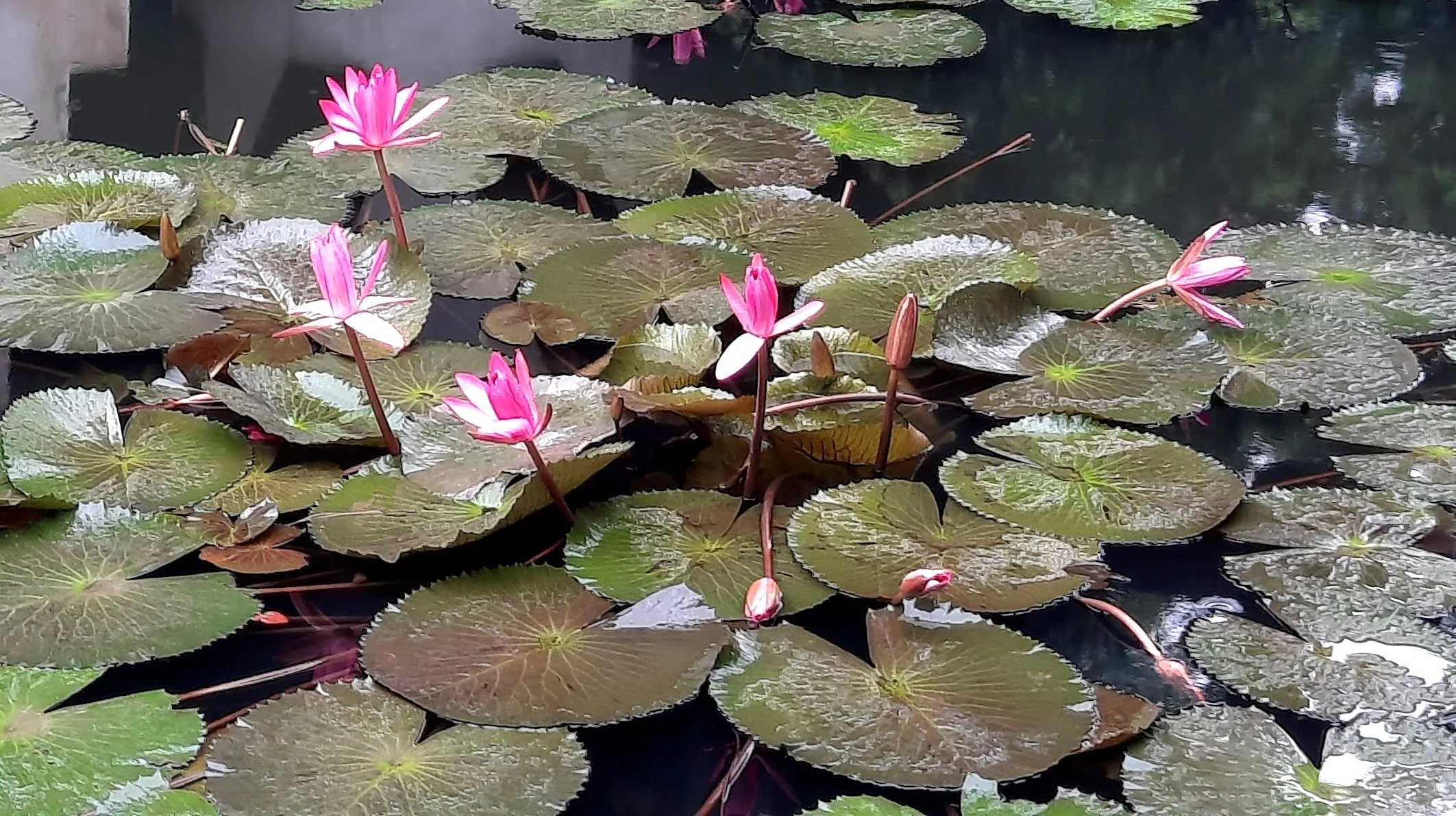 36 20251030_110313(1).jpg