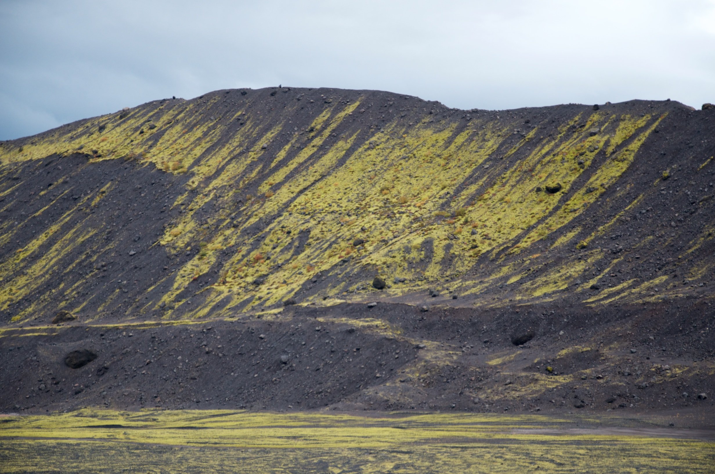 09 DSC_0155.jpg