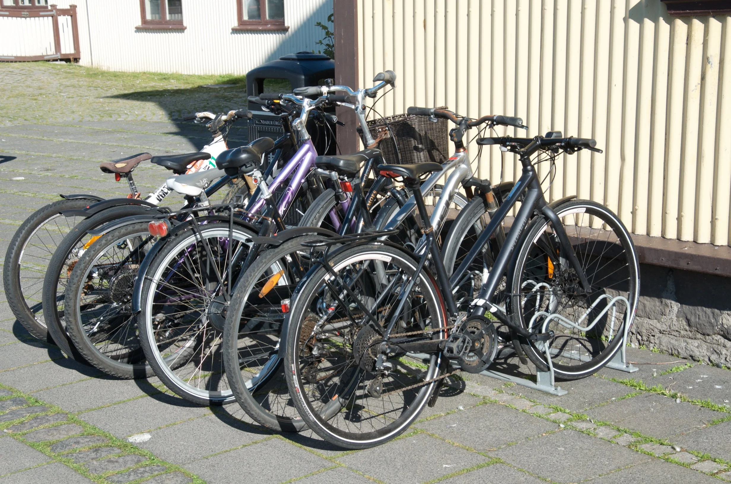 09 DSC_9486.jpg