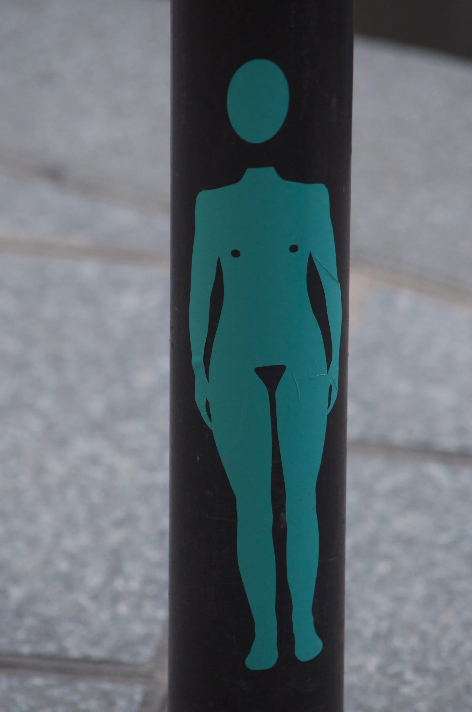 38 DSC_3488.jpg