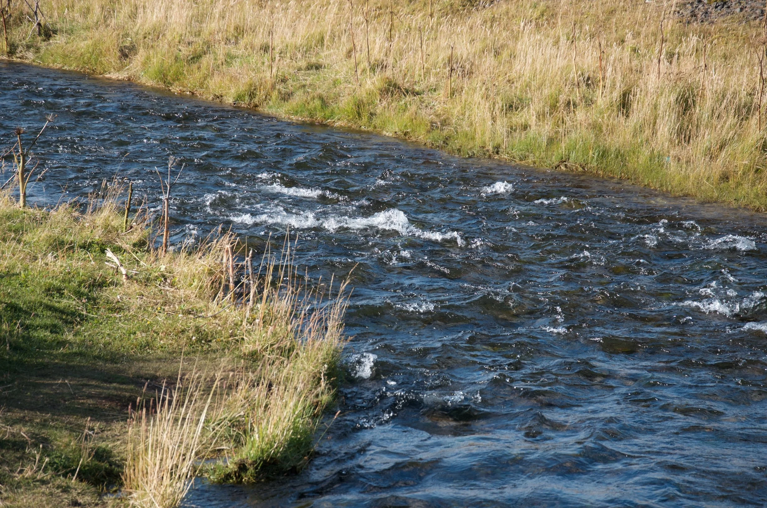 59 DSC_0029.jpg