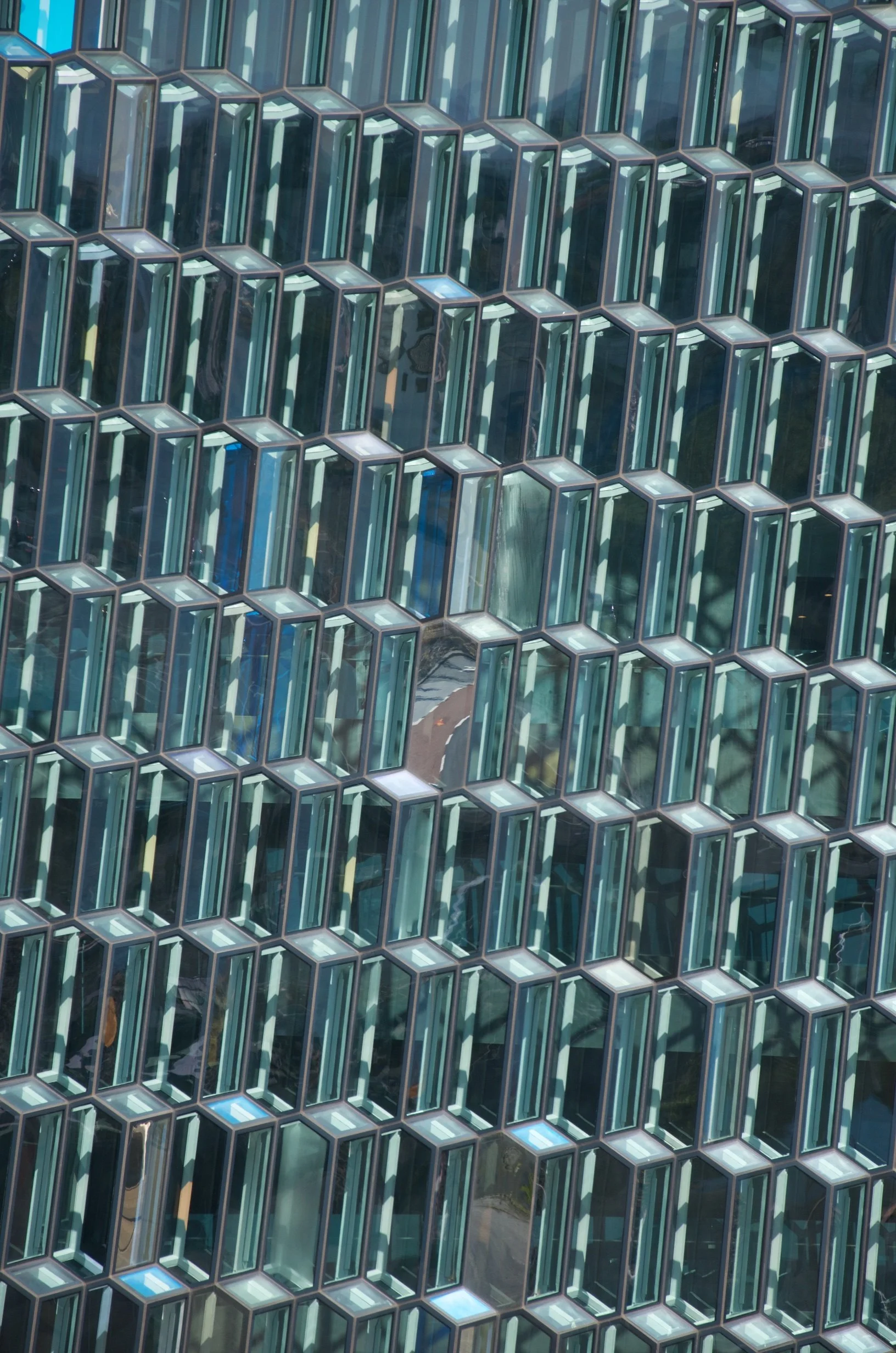 71 DSC_9530.jpg