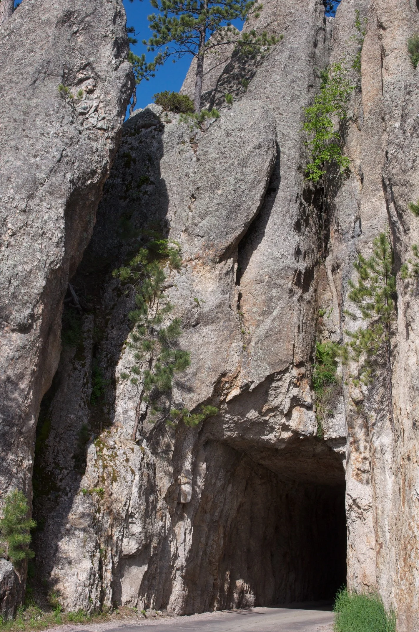 39 SD NEEDLE HWY 2009.jpg