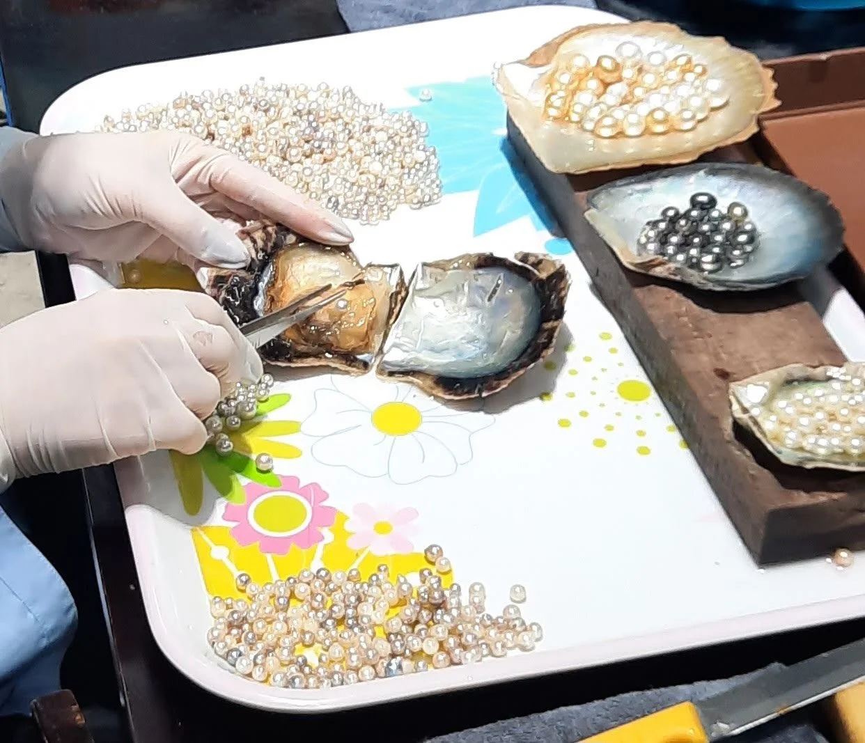 57 20251103_101630.jpg