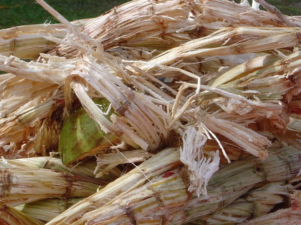 32 03 D  472 used sugar cane.jpg