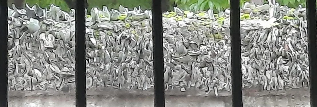 45 20251030_134453.jpg