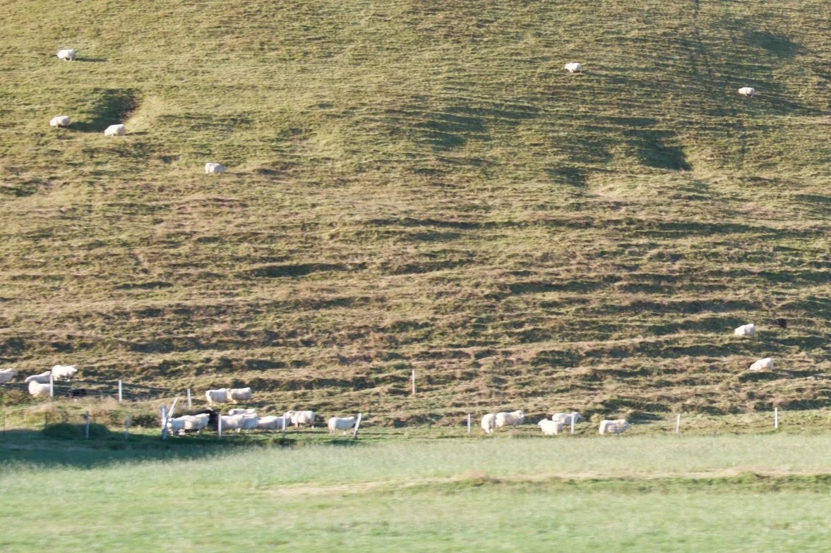 49 DSC_0110.jpg