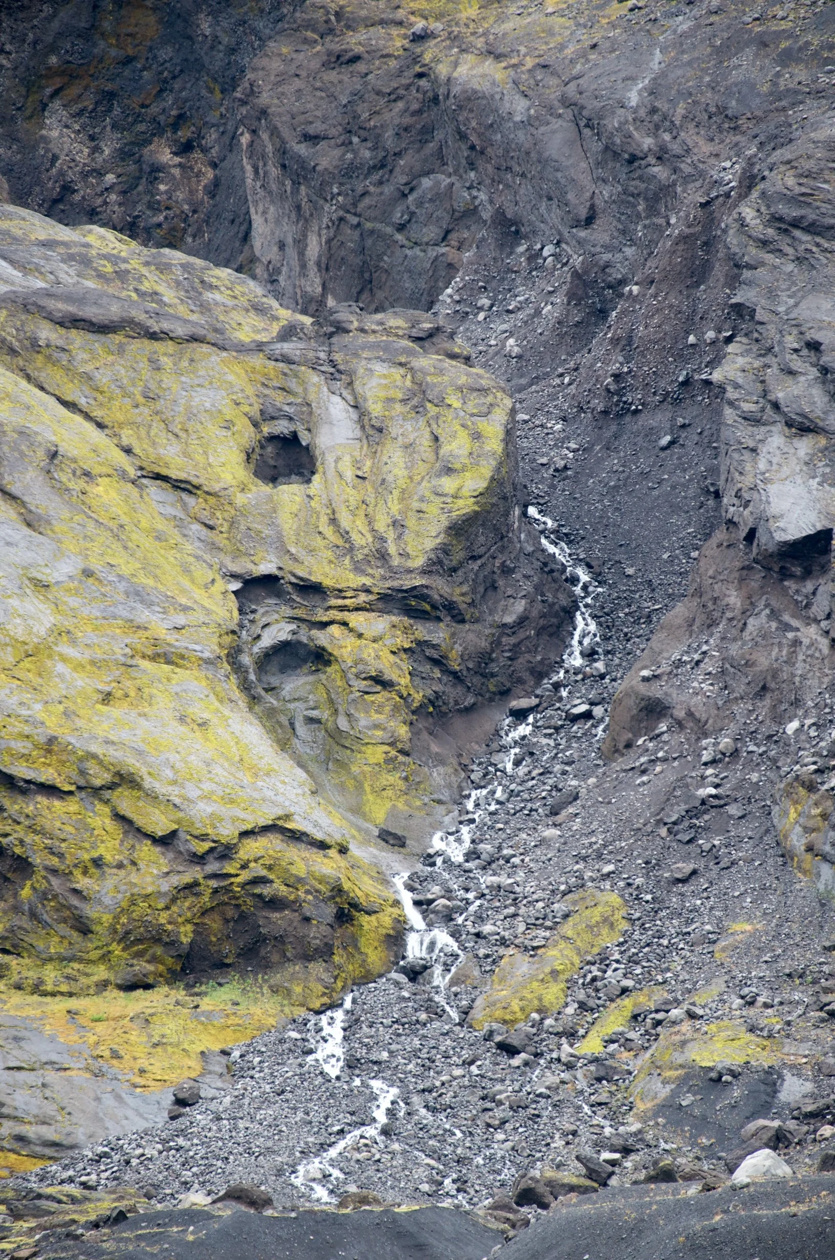 43 DSC_0172.jpg