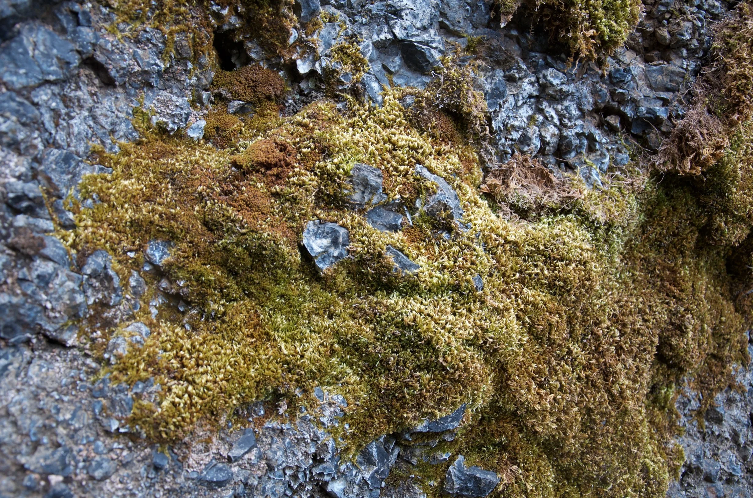21 DSC_0139.jpg