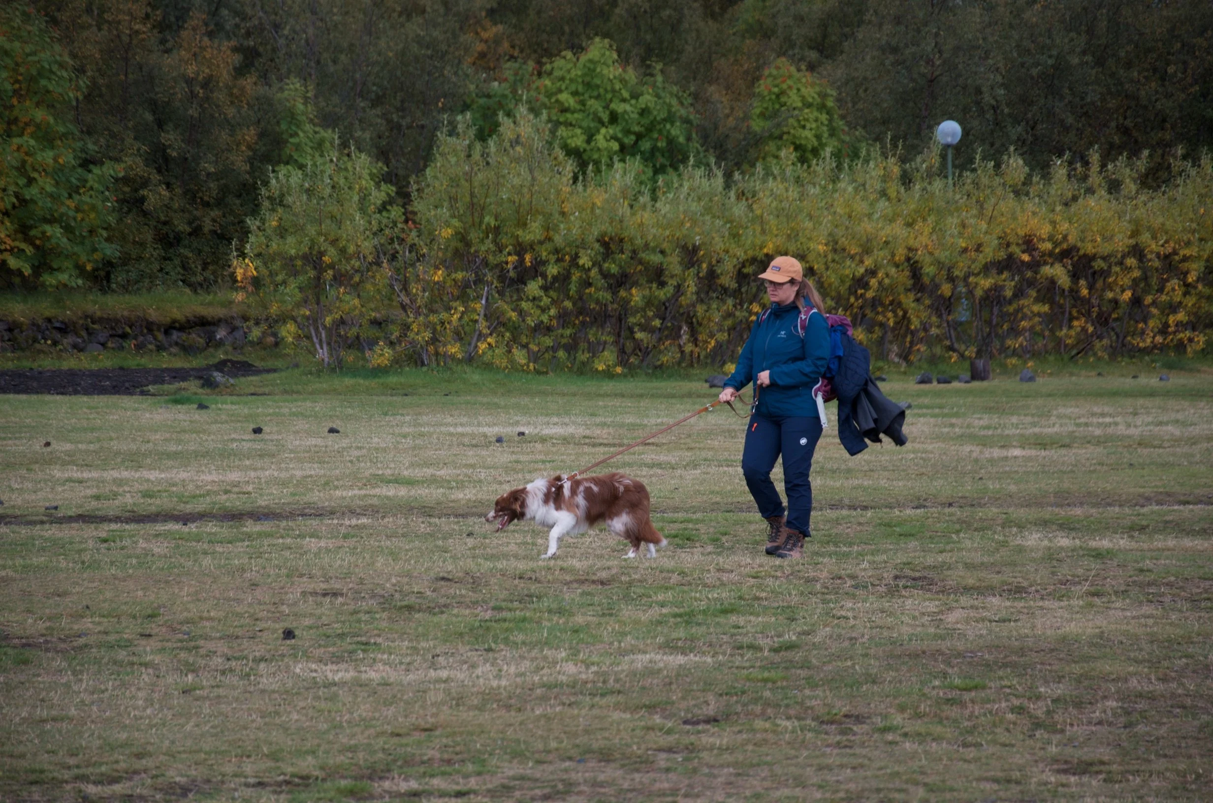 48 DSC_0207.jpg