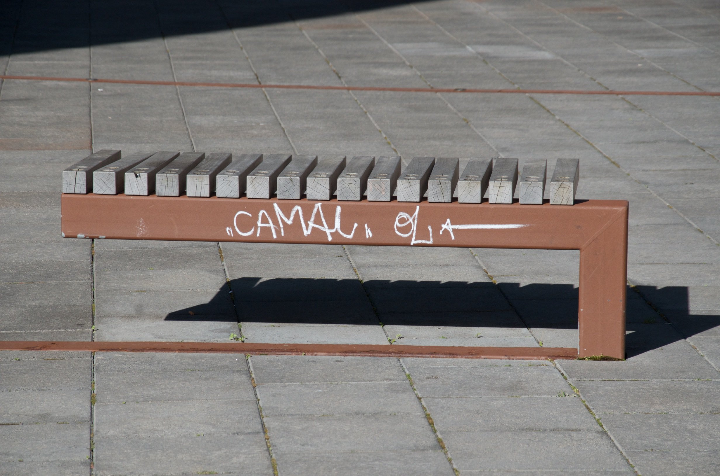 17 DSC_9524.jpg