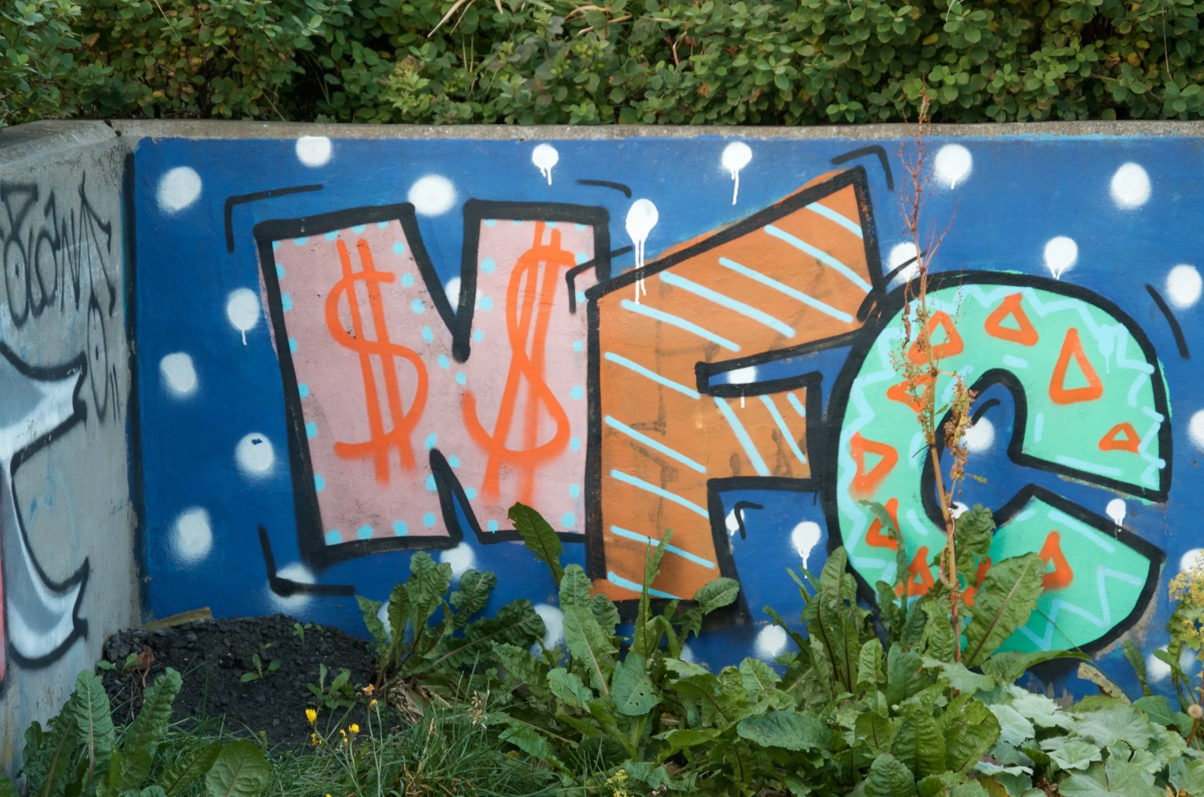 48 DSC_9807.jpg