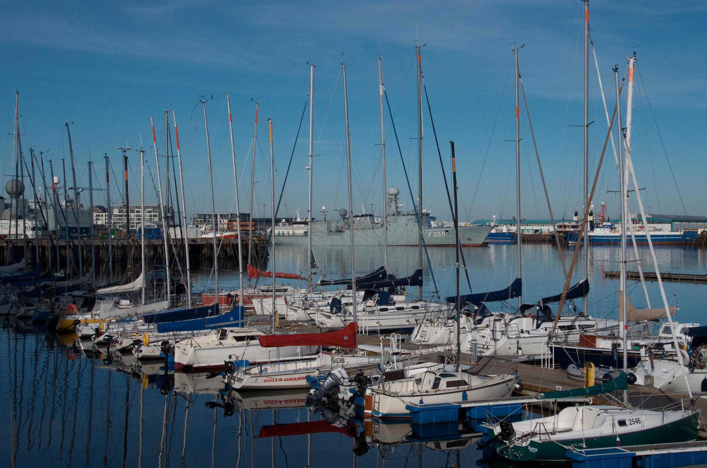 44 DSC_9831.jpg