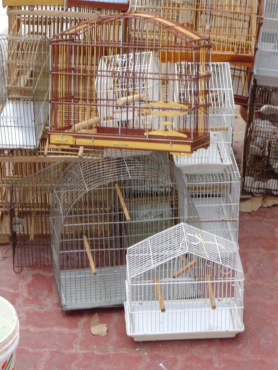 15 03 D  277 V bamboo cages.jpg