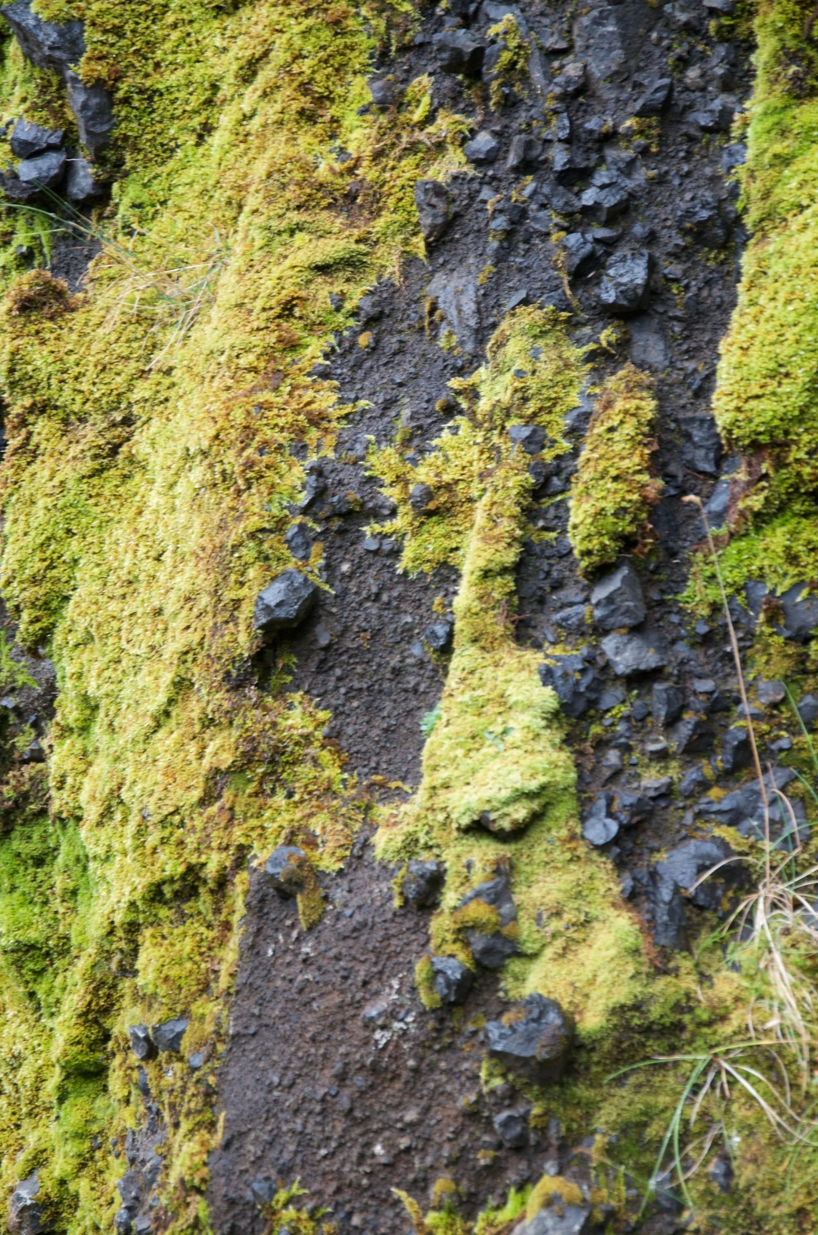 34 DSC_0141.jpg