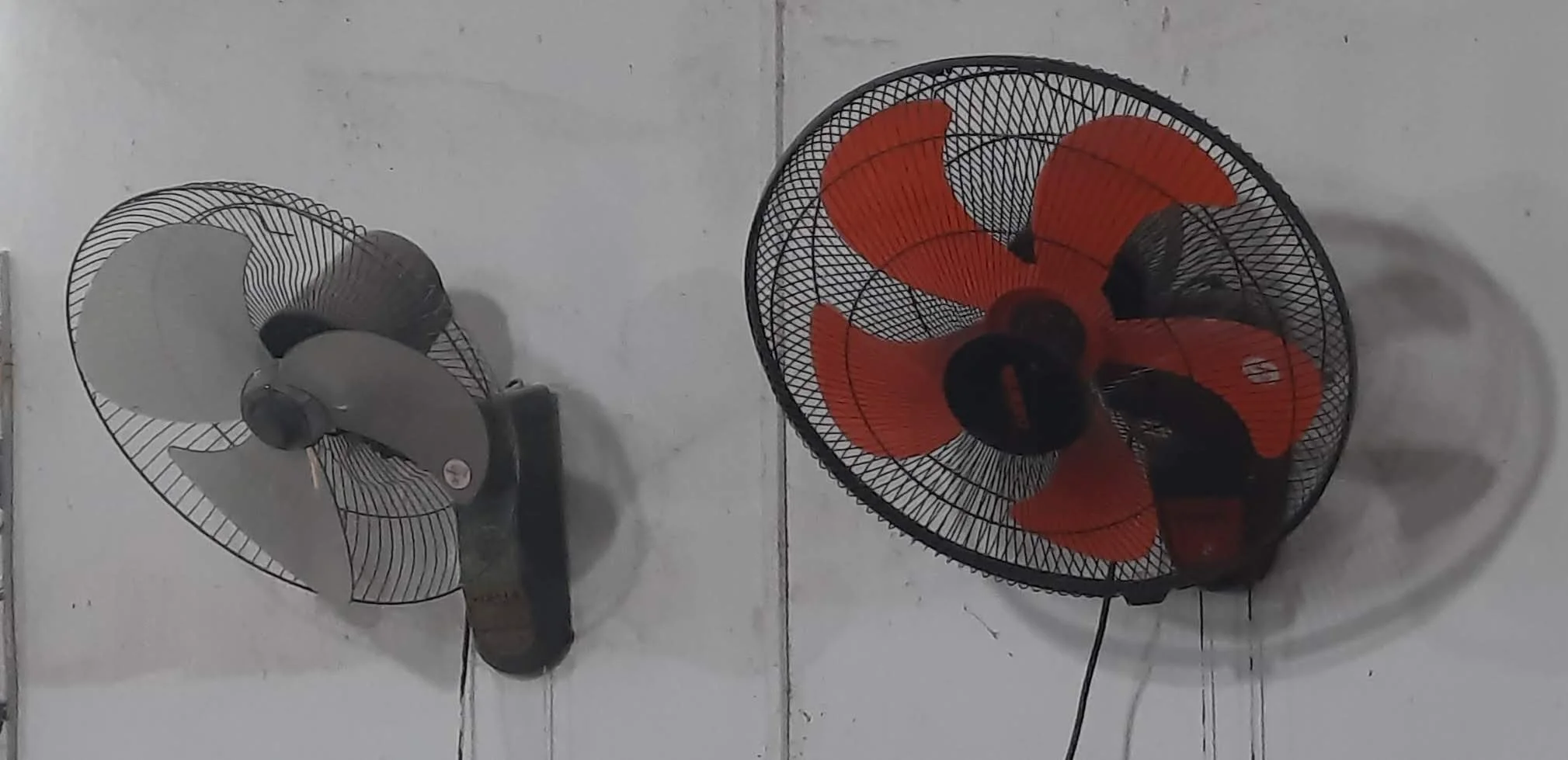 04 20251101_111846.jpg