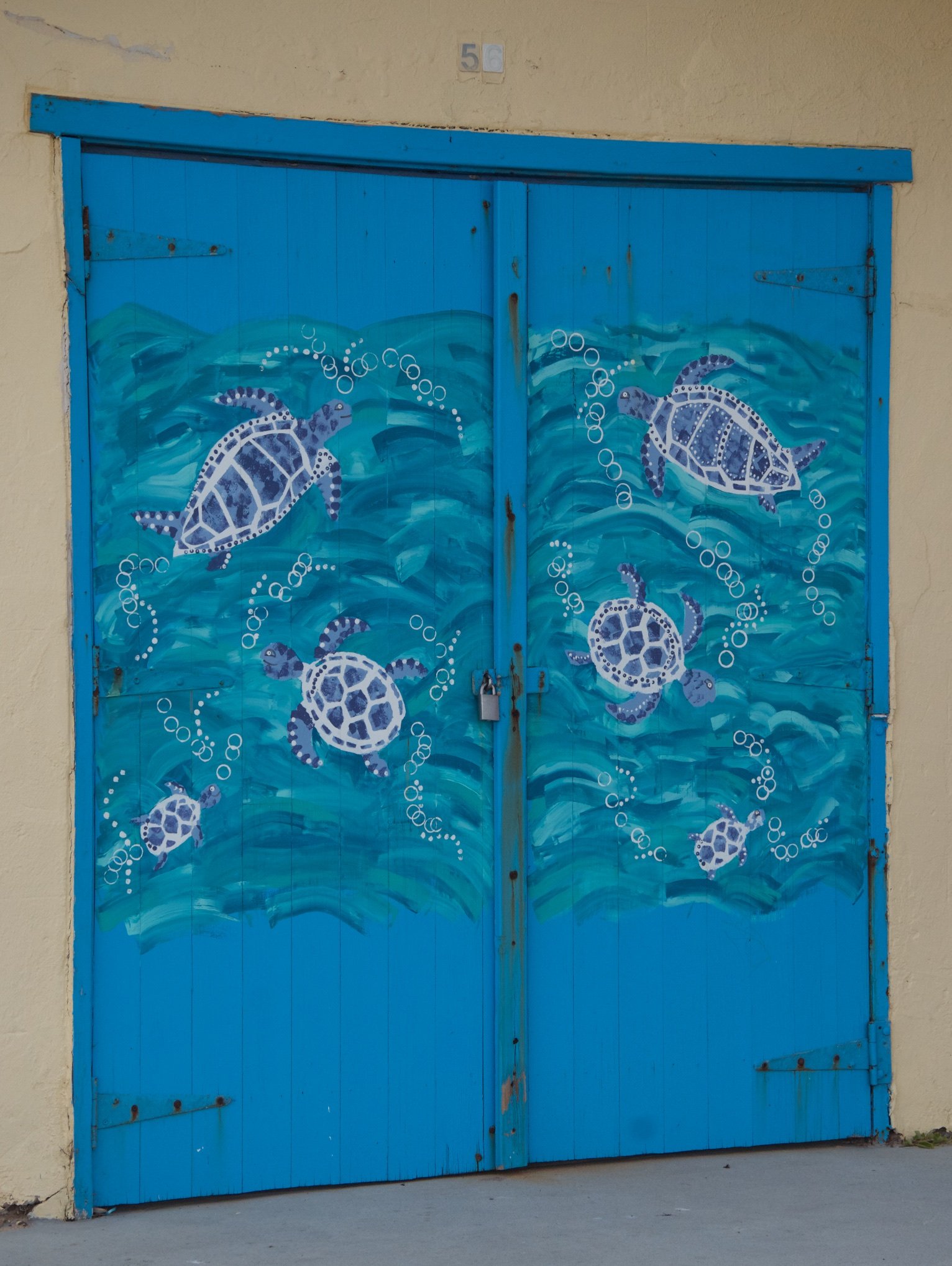 22 DSC_4800.jpg