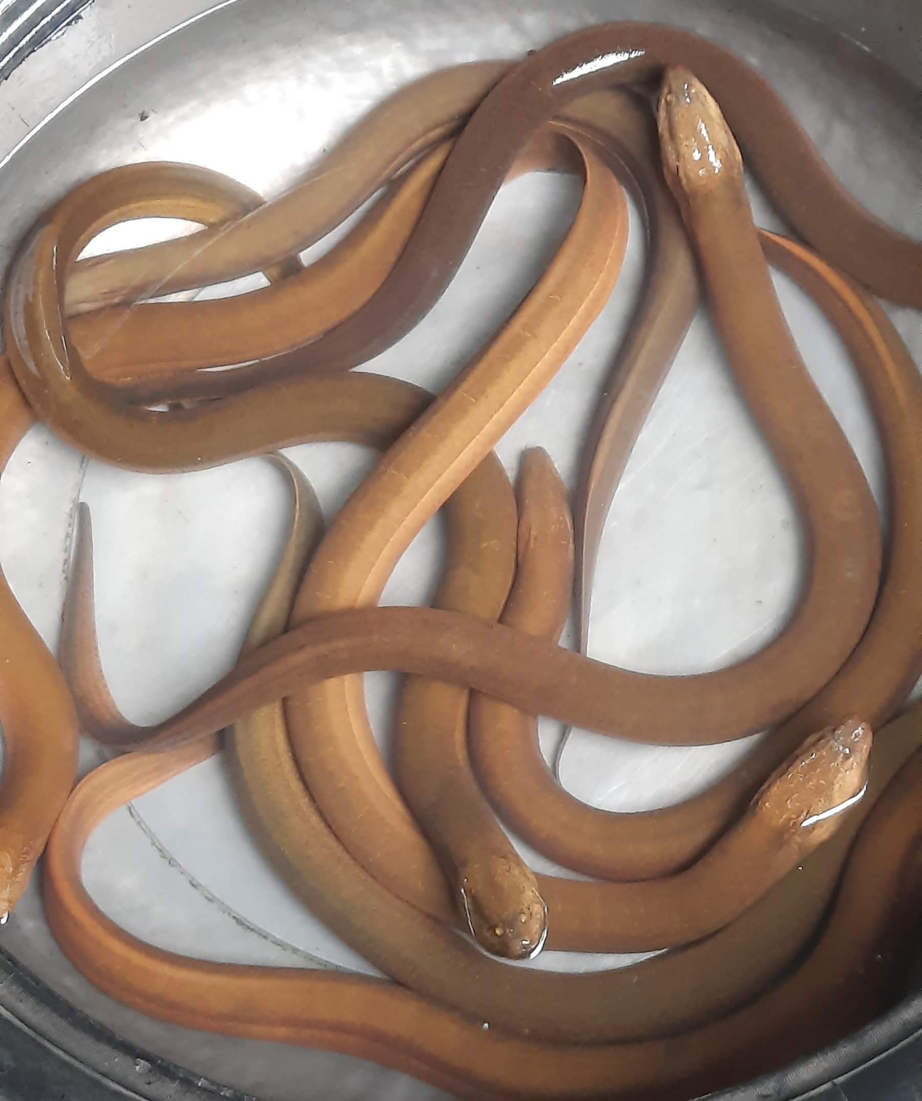 55 20251031_101917(1).jpg