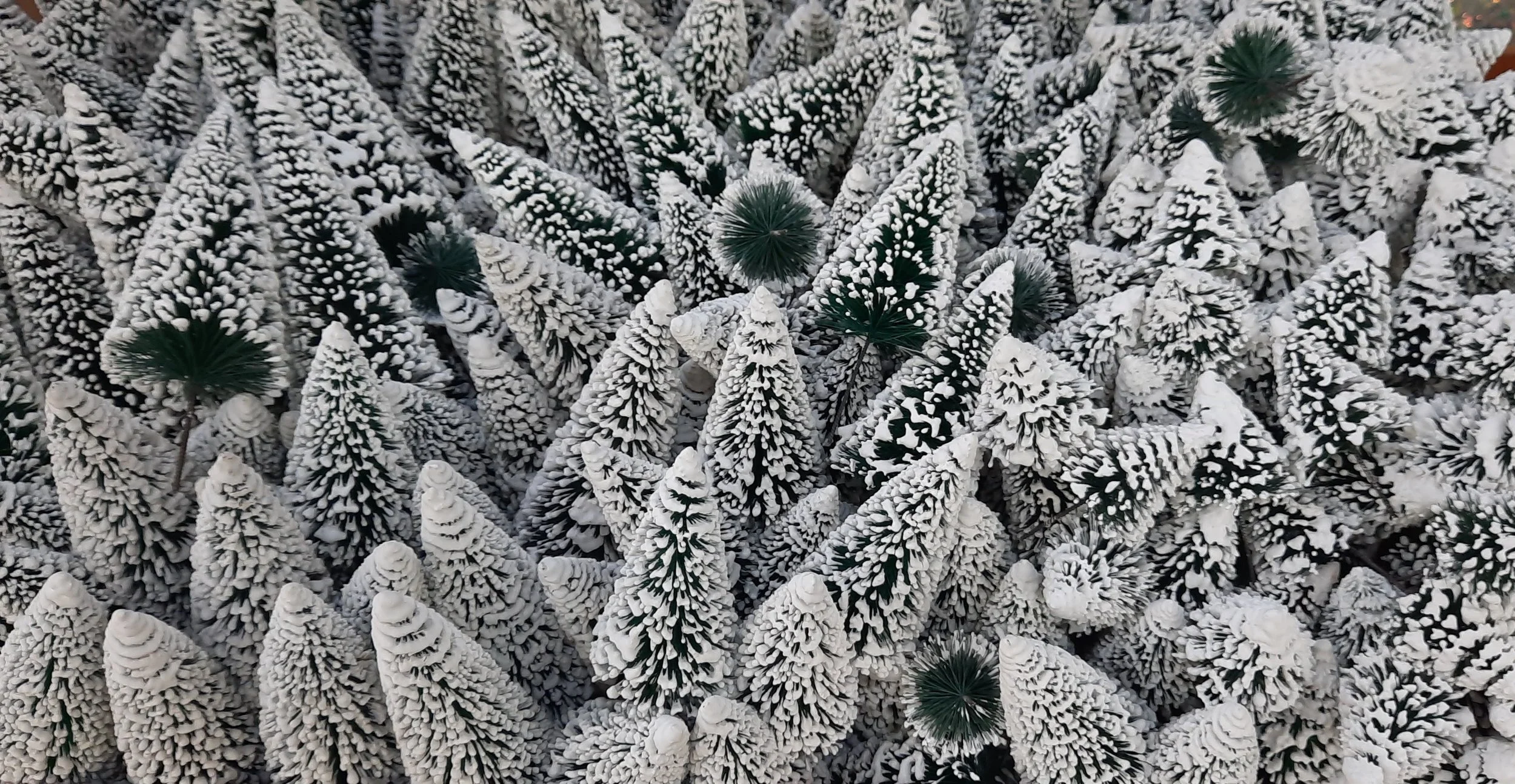 25 20251112_101757(1).jpg