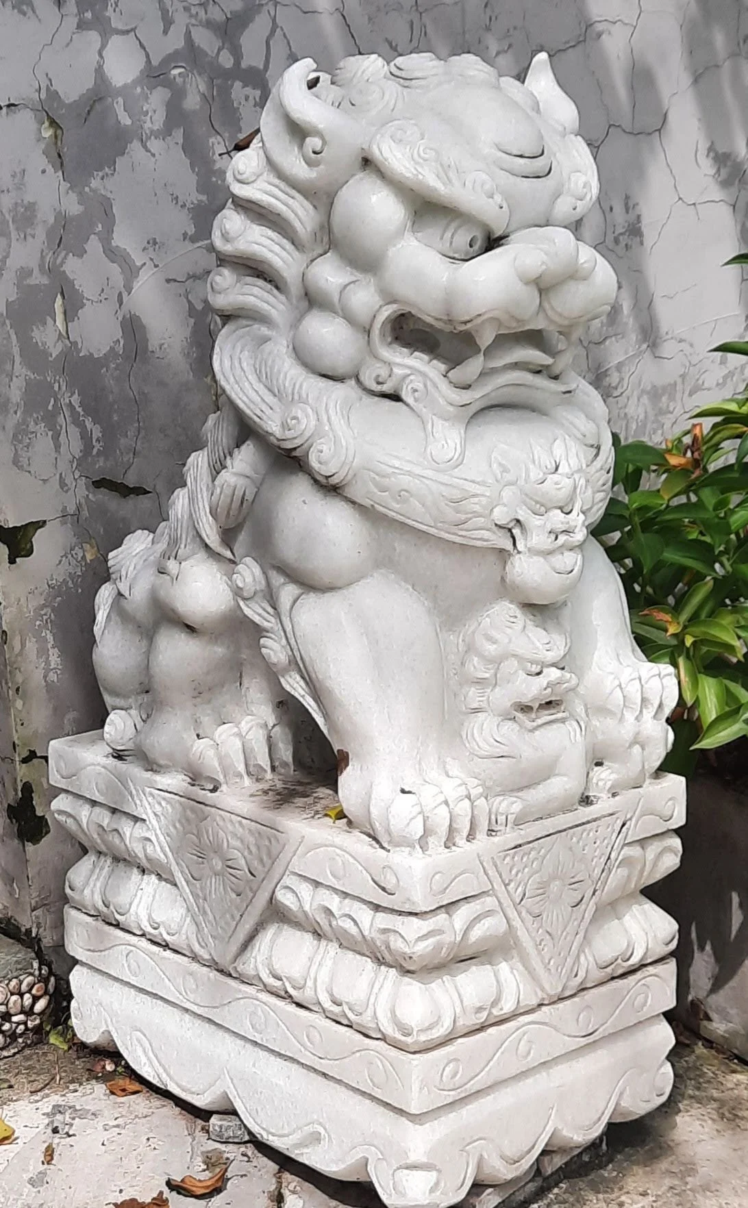 46 20251105_104027.jpg