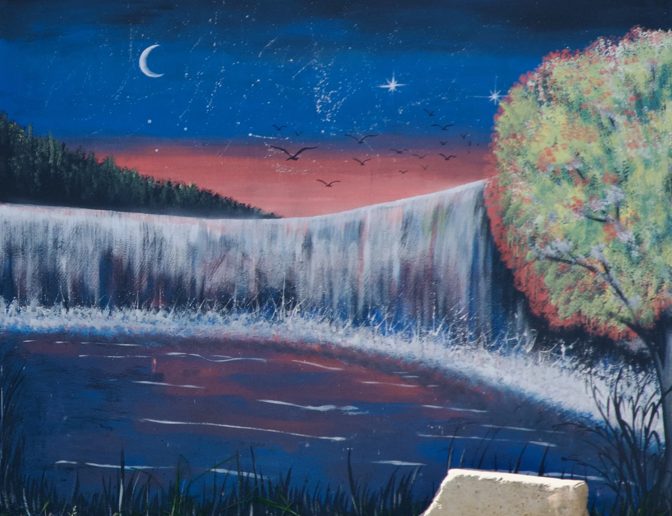 16 DSC_0254 - Version 2.jpg