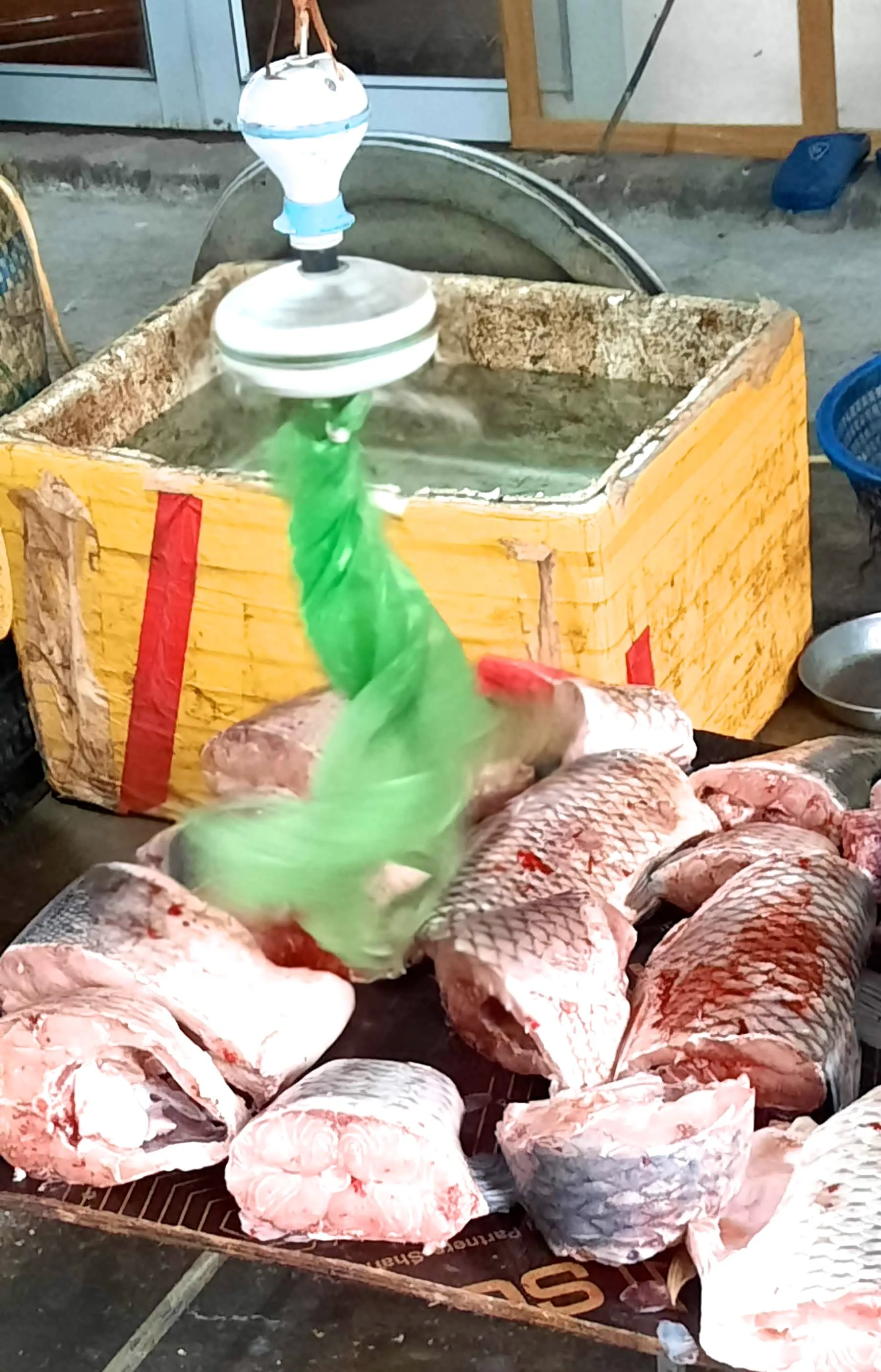 43 20251031_101852(1).jpg