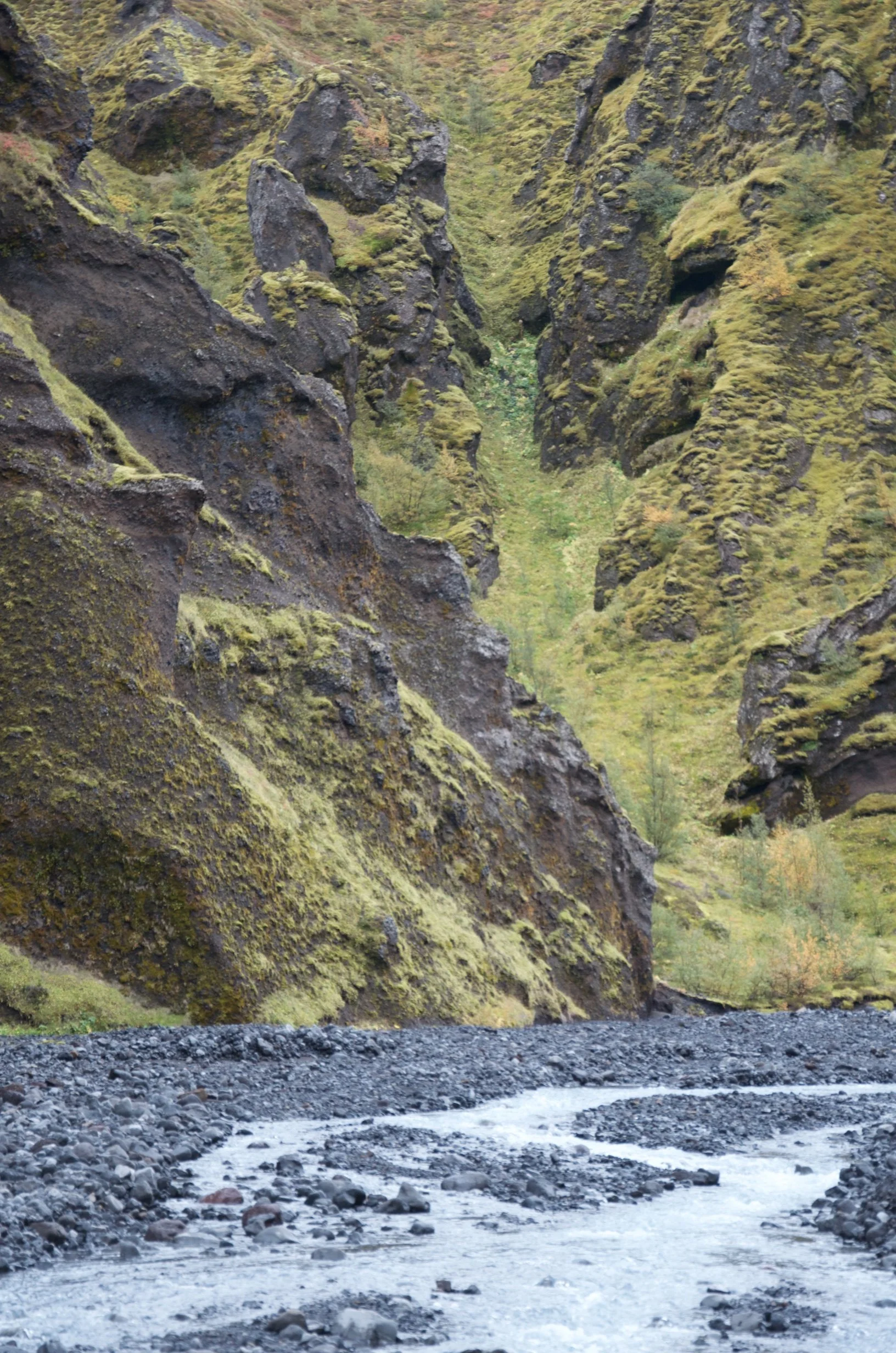 10 DSC_0234.jpg