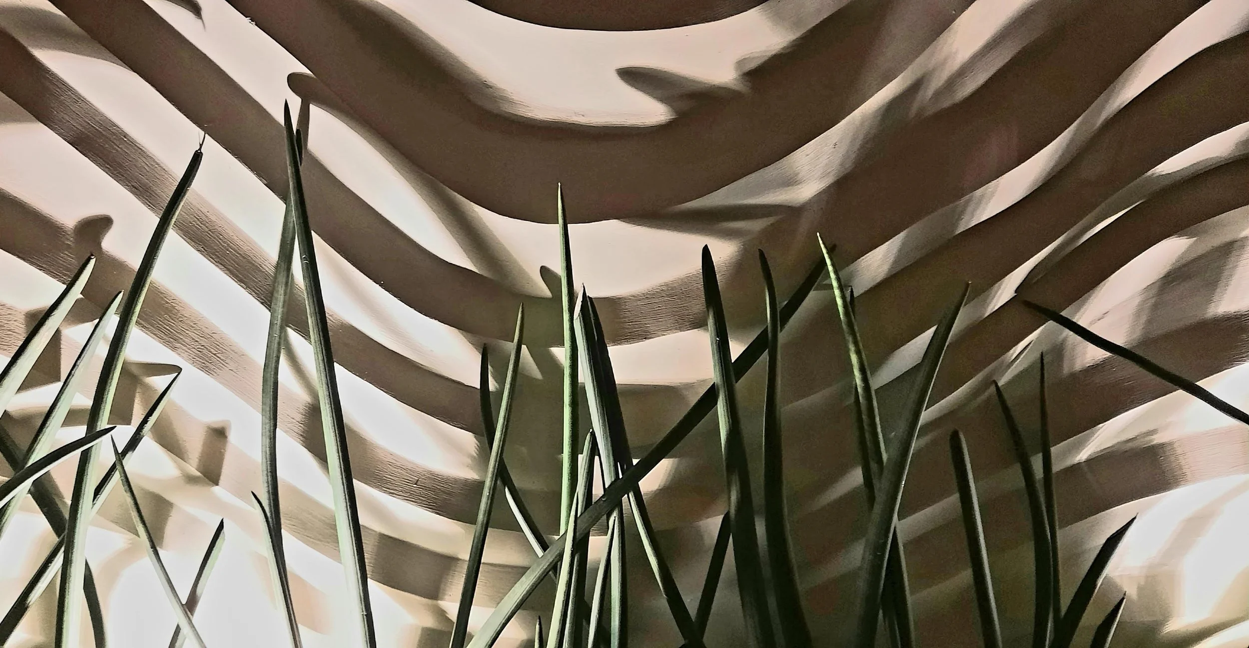 05 20251109_200609.jpg