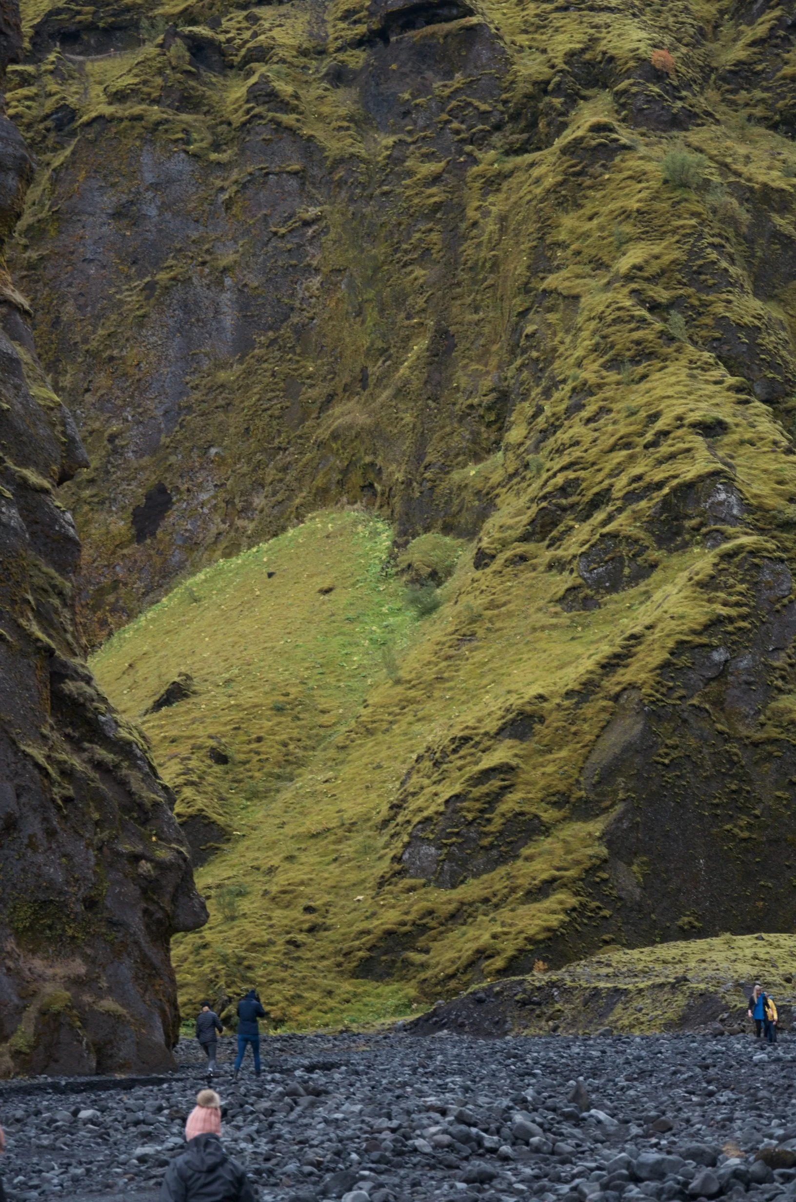 39 DSC_0239.jpg