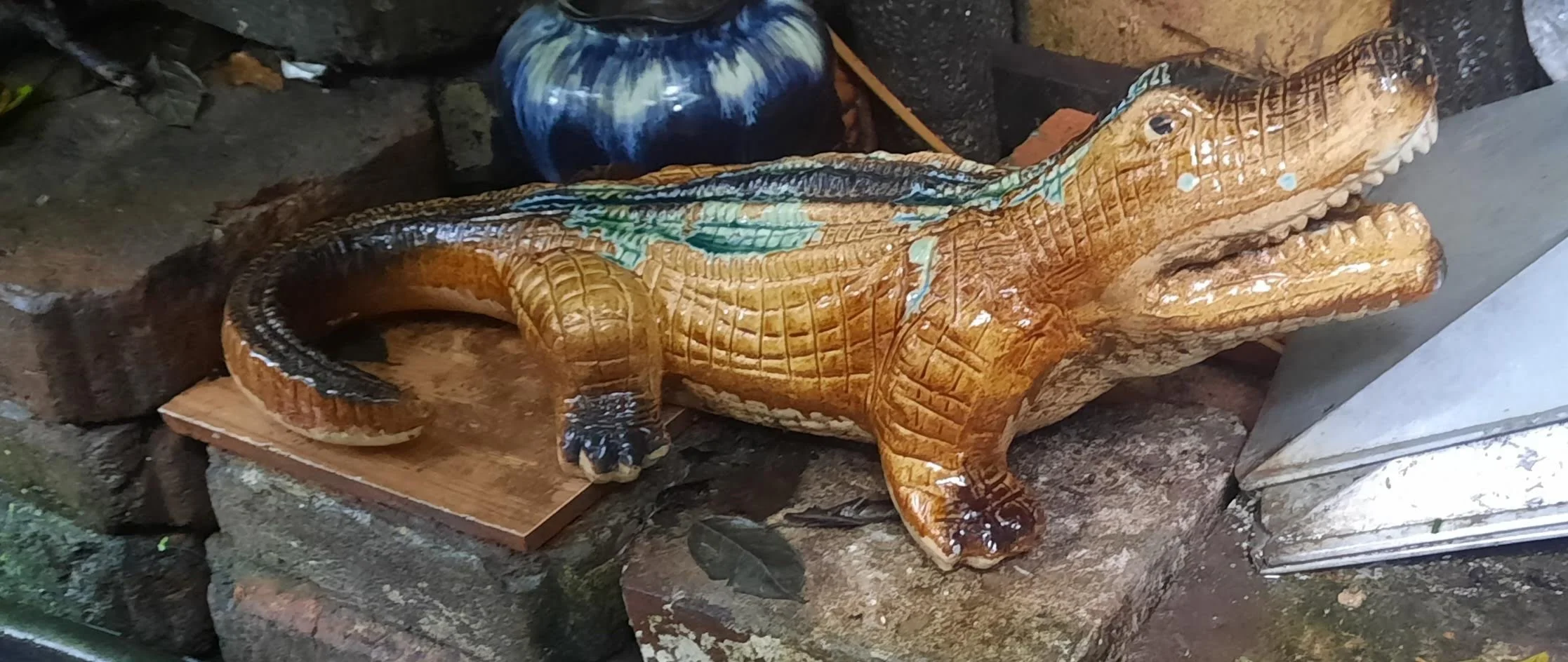 36 20251101_105656(1).jpg