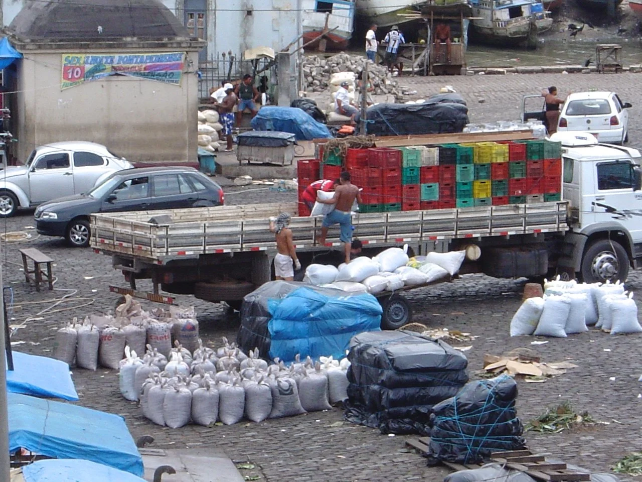 52 03 D  308 truck loading.jpg