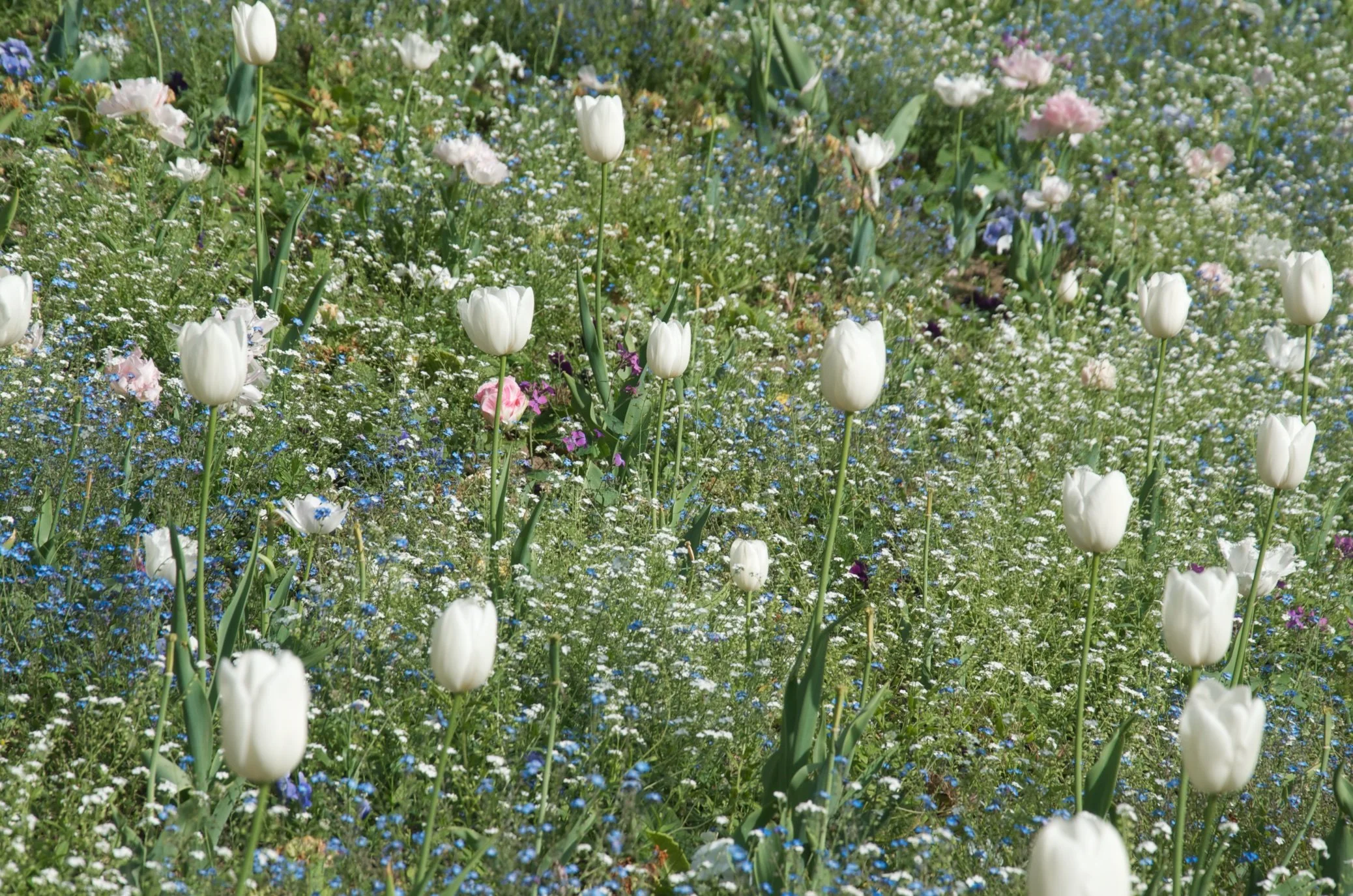 60 DSC_2221.jpg