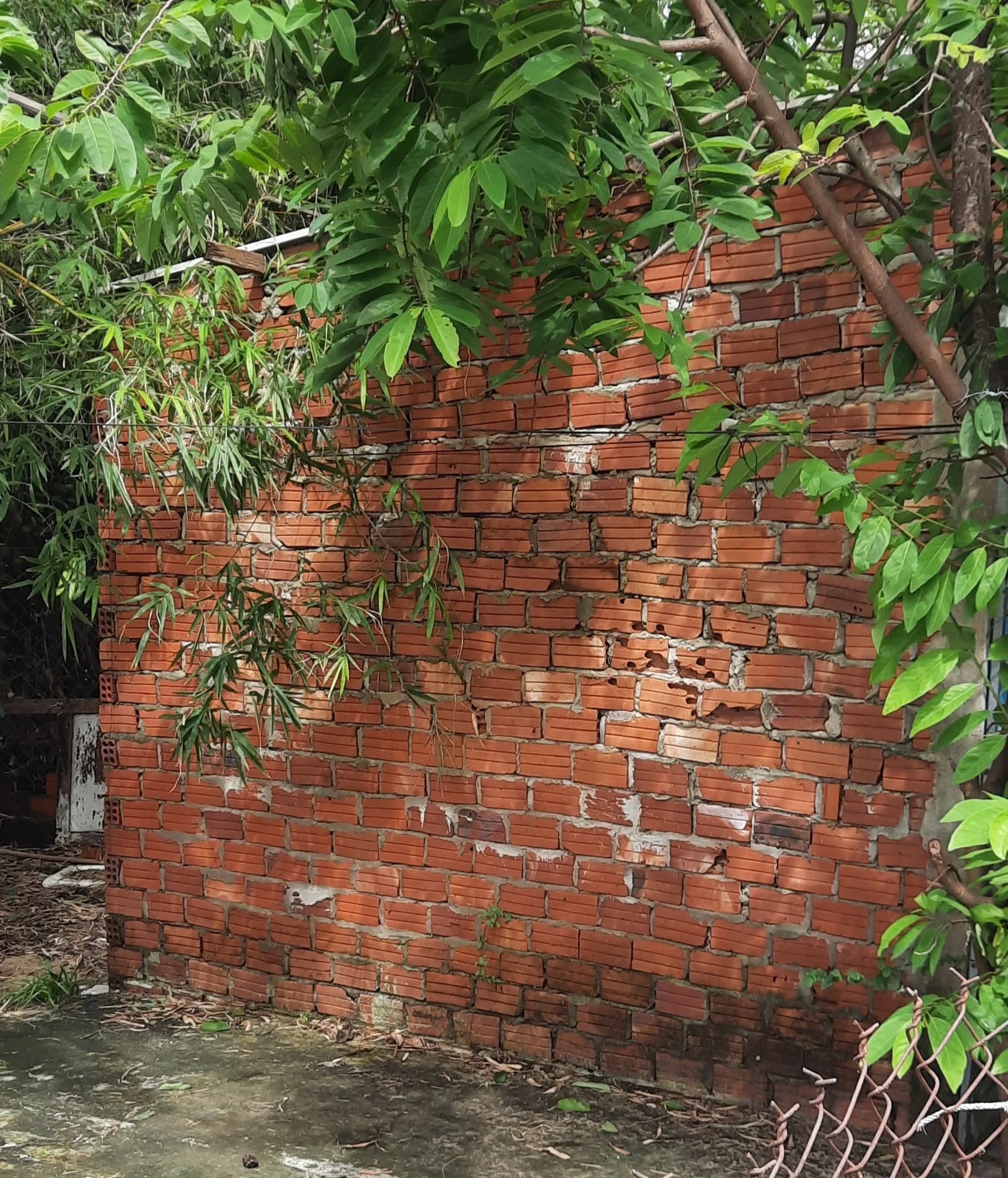 07 20251105_104219.jpg