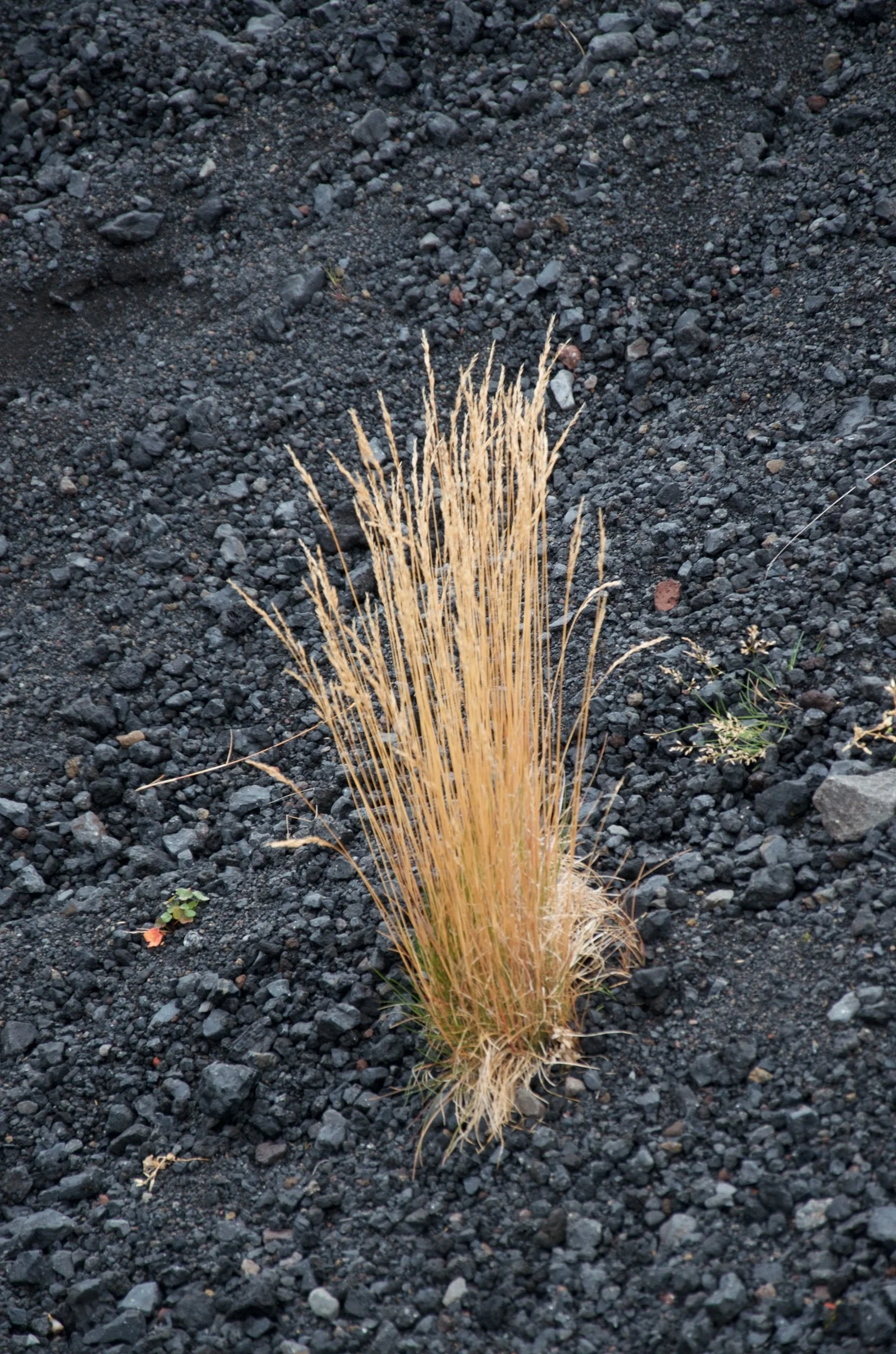47 DSC_0180.jpg