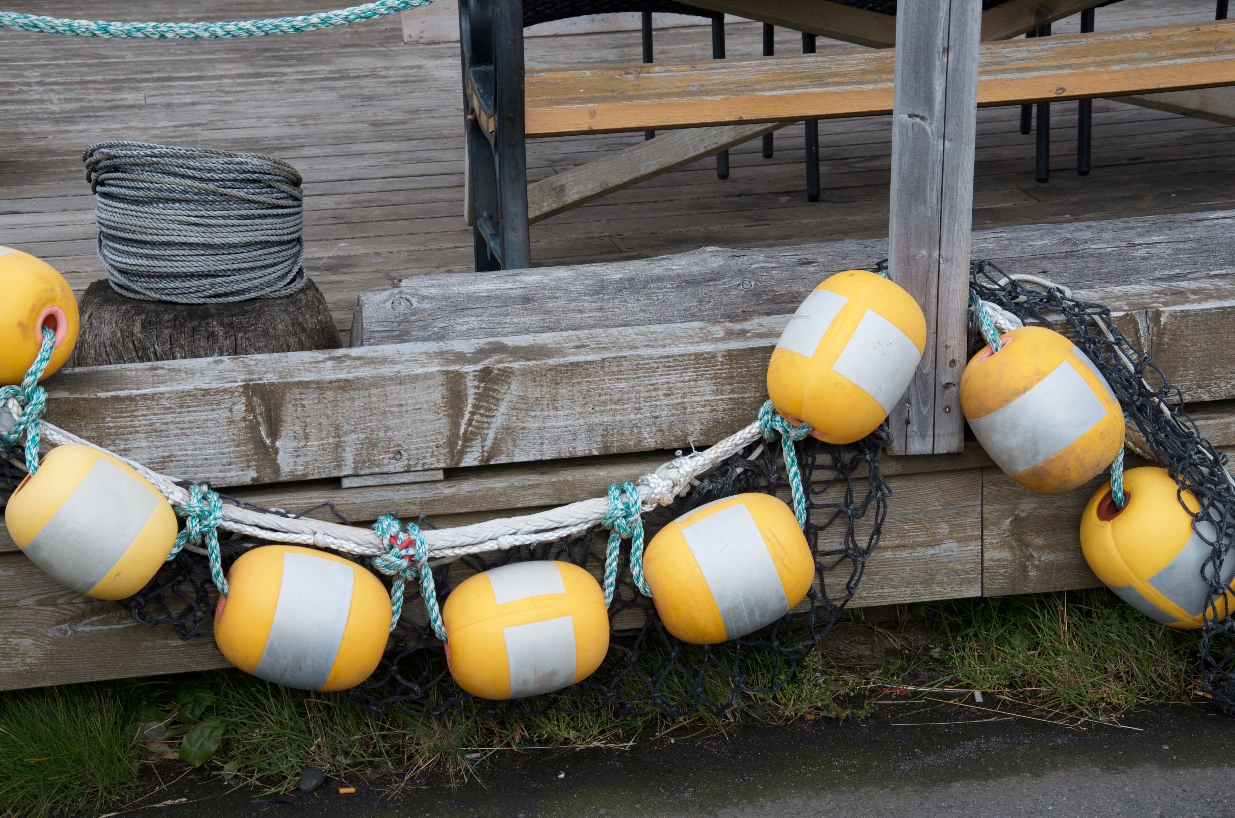 66 DSC_9997.jpg