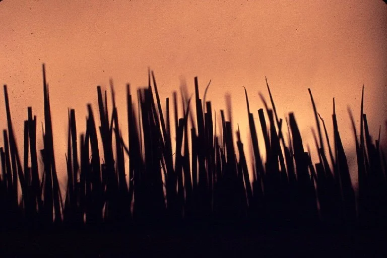 13 69 246 close up couch.jpg