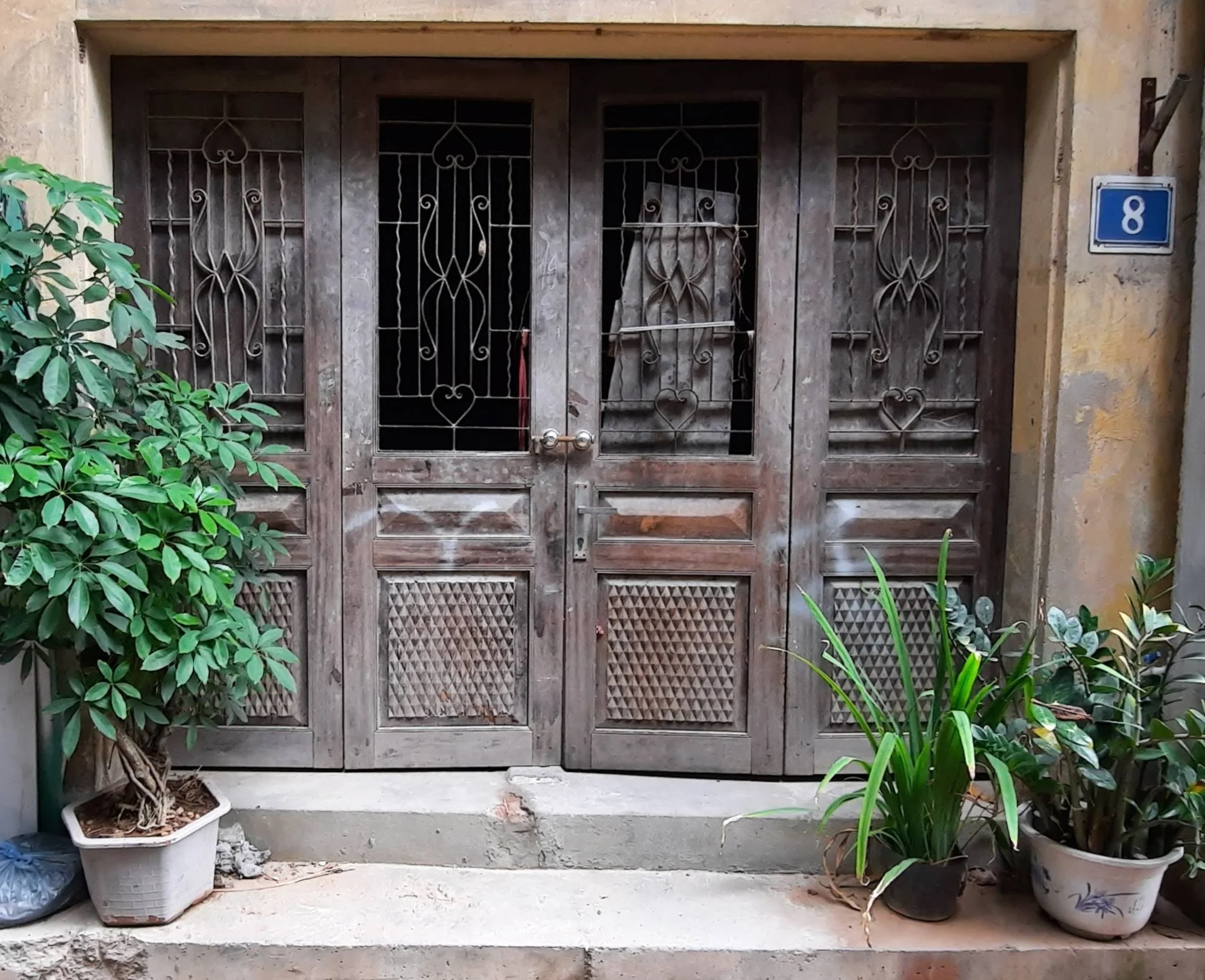 60 20251101_123826.jpg