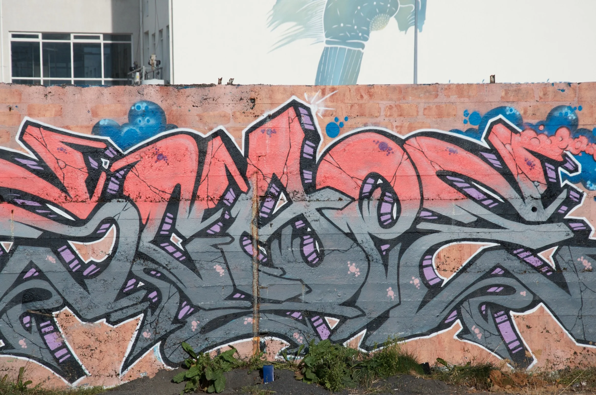 12 DSC_9811.jpg