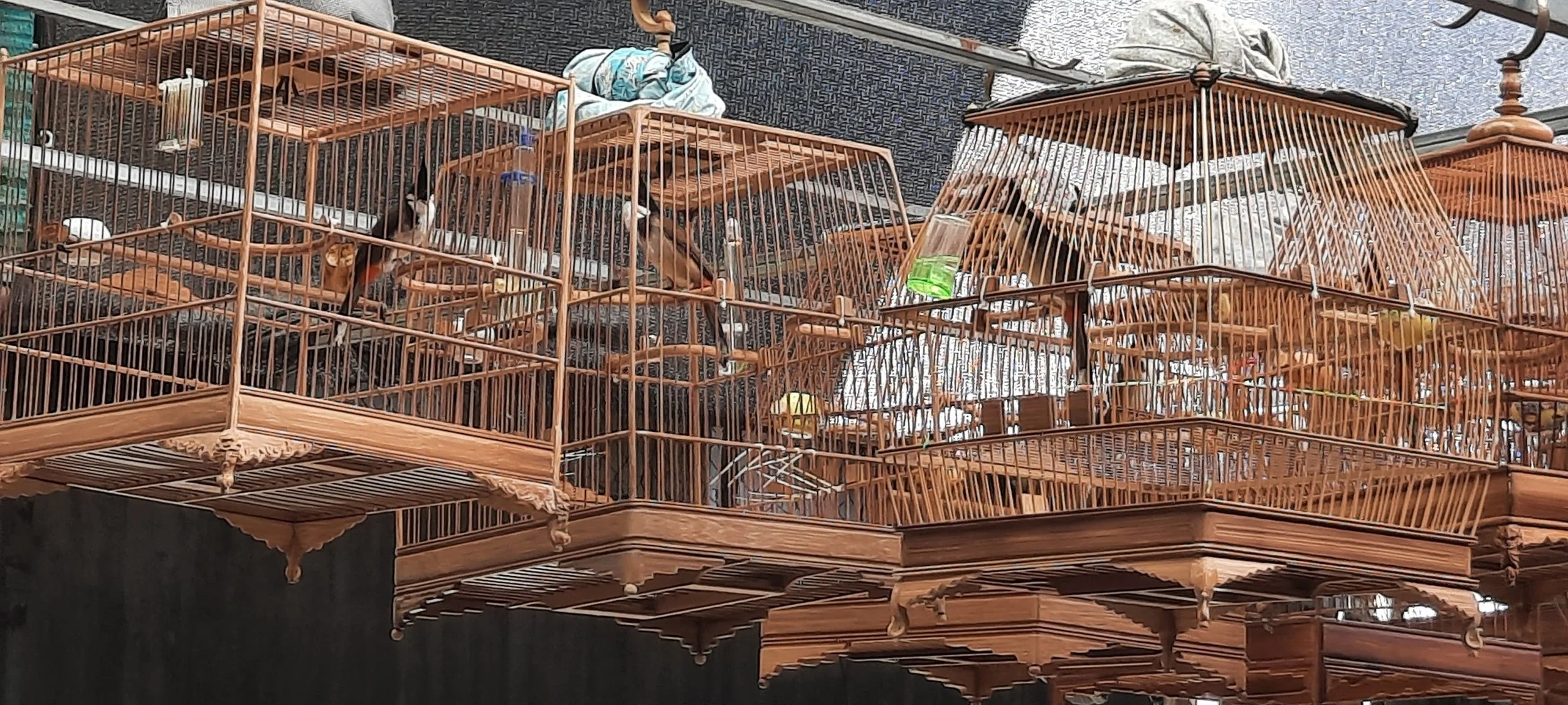 48 20251109_091133.jpg