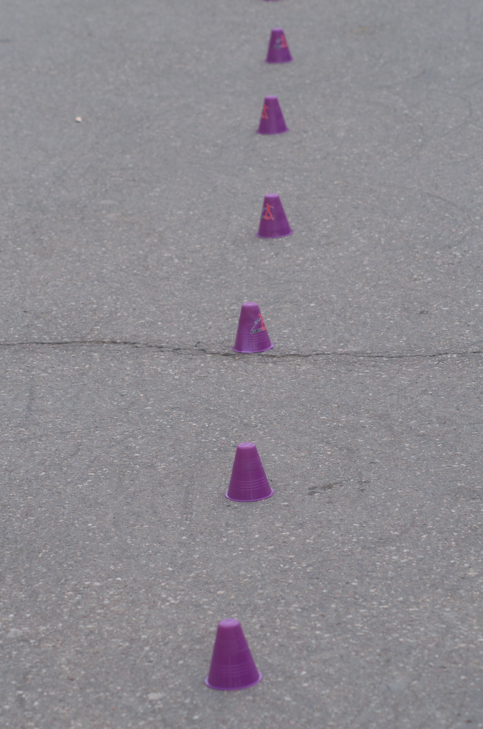 46 DSC_3699.jpg