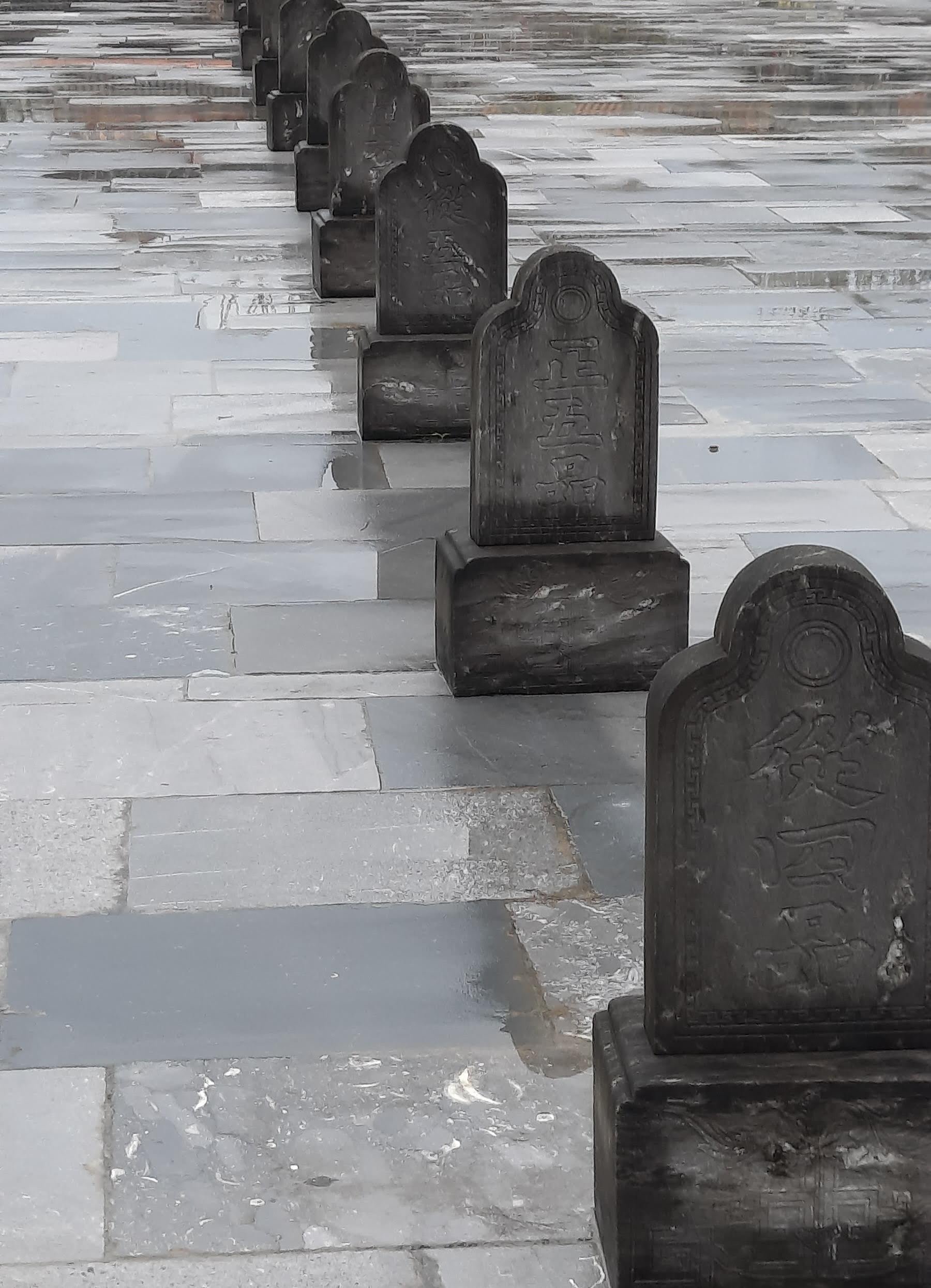 70 20251106_160822(1).jpg