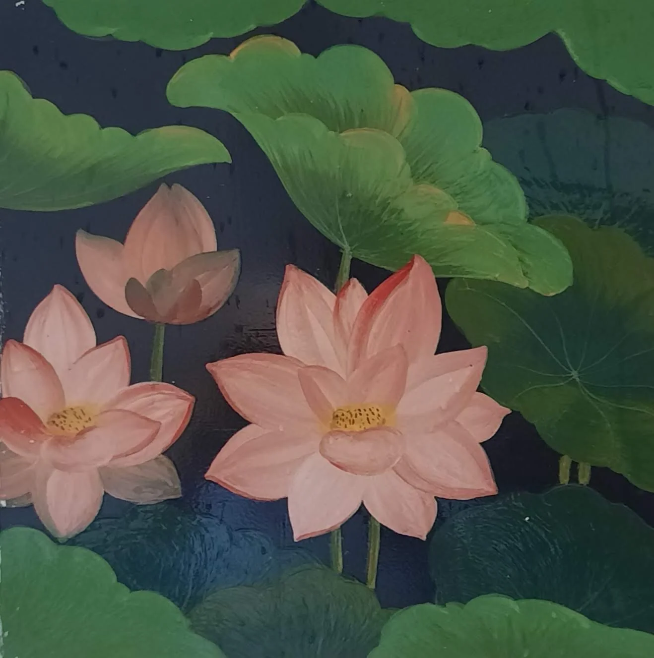 54 20251101_123345.jpg