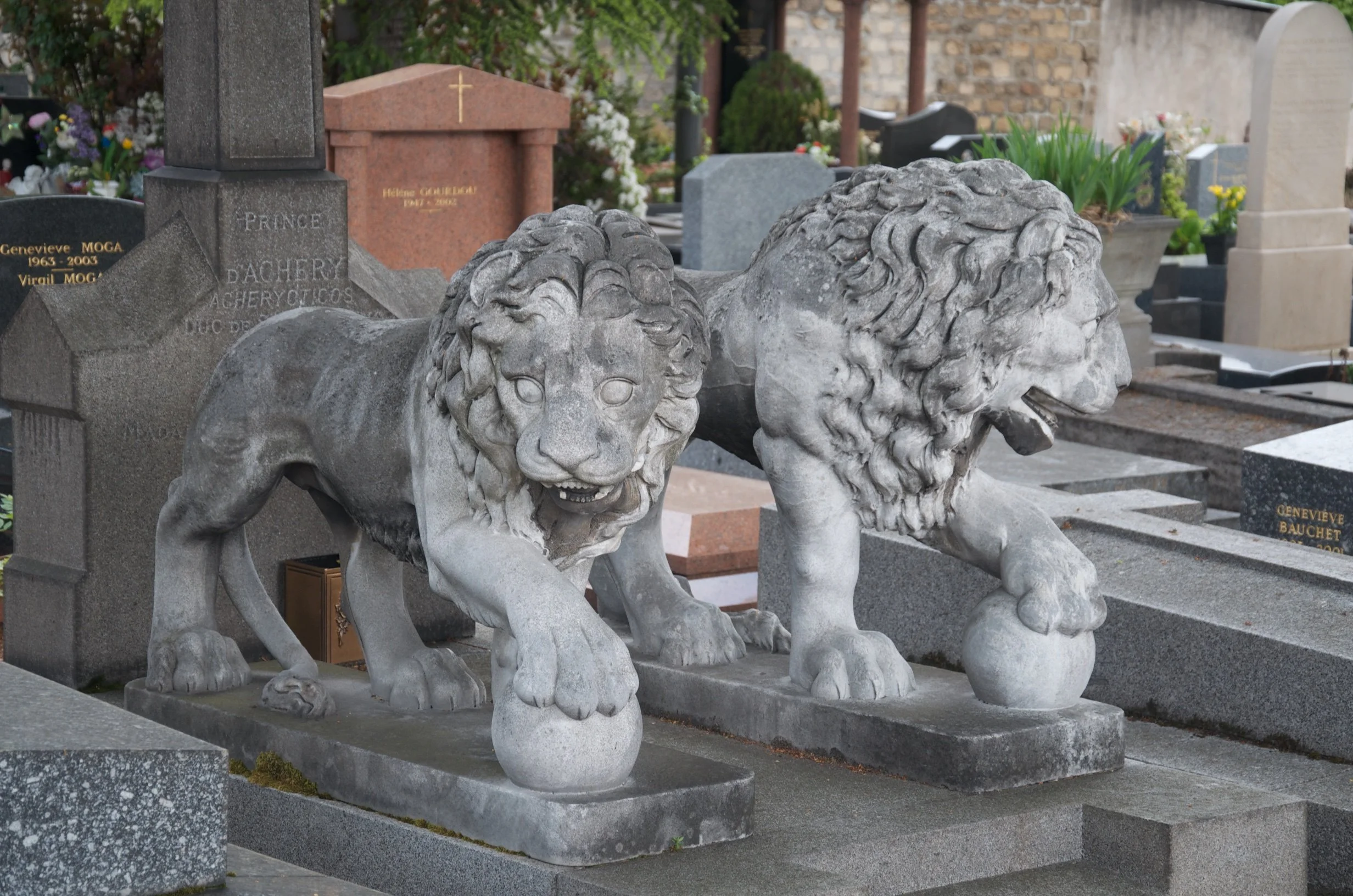 44 DSC_2043.jpg