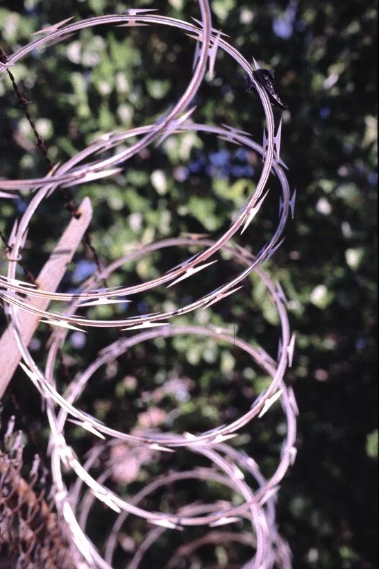 14 03  844 V west 30's circle wire (1).jpg