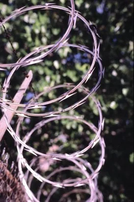 14 03  844 V west 30's circle wire.jpg