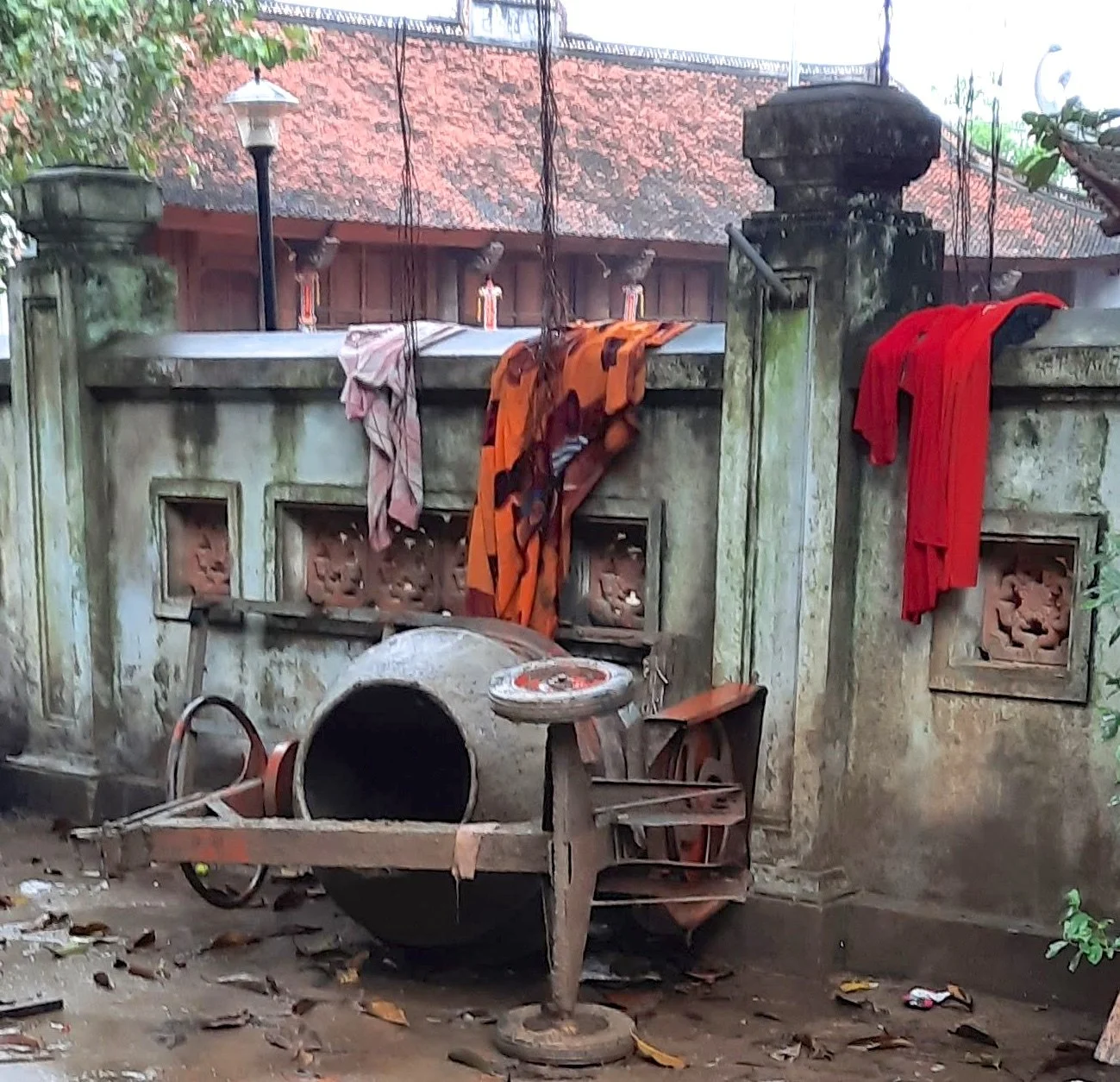 56 20251031_111526(1).jpg