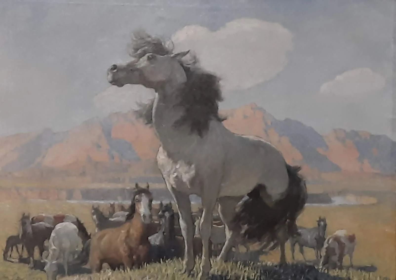 52 20250916_103635.jpg